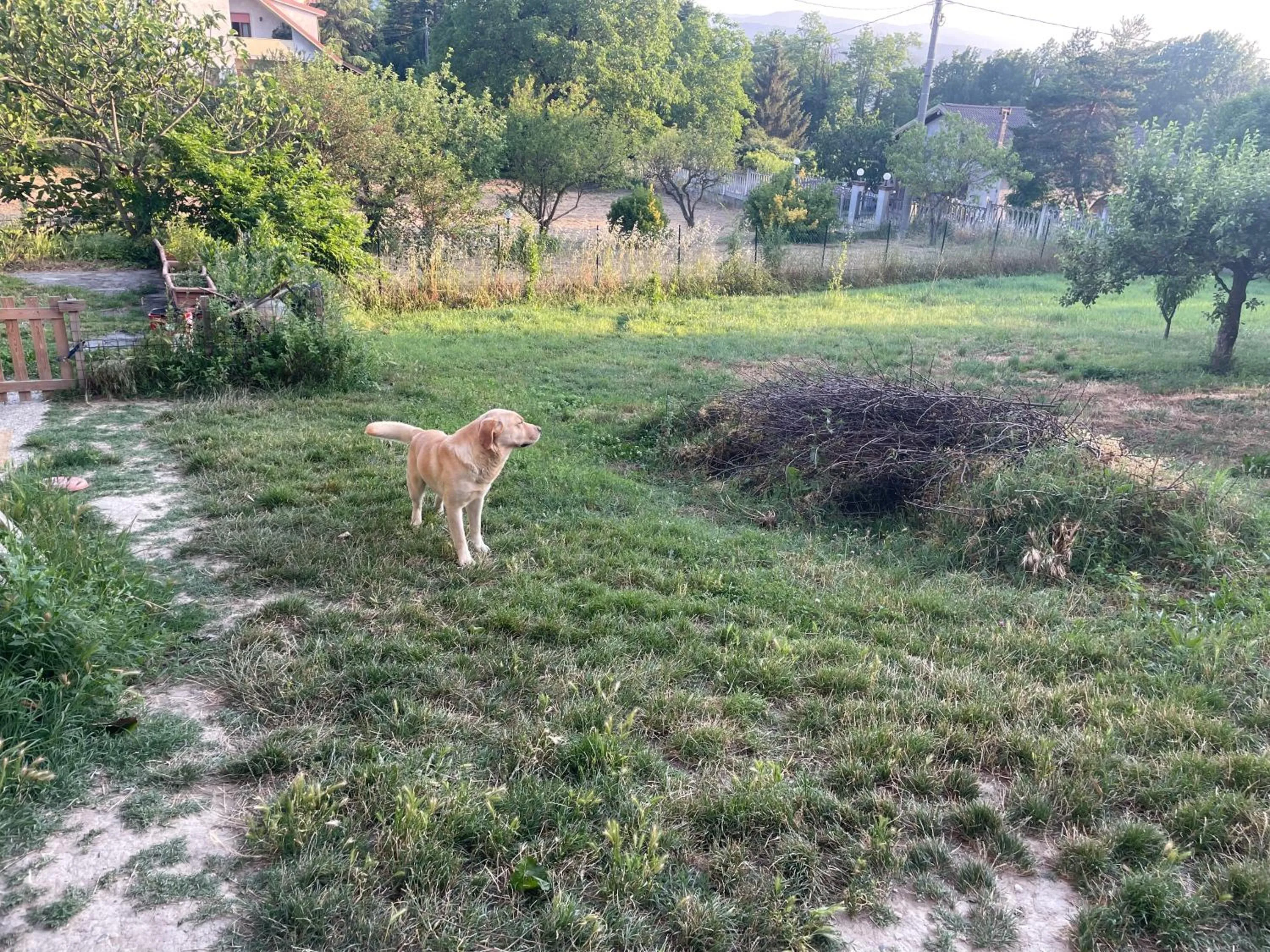 Garden in Casa T Bed and Breakfast & Home Restaurant di Tacchino Simone