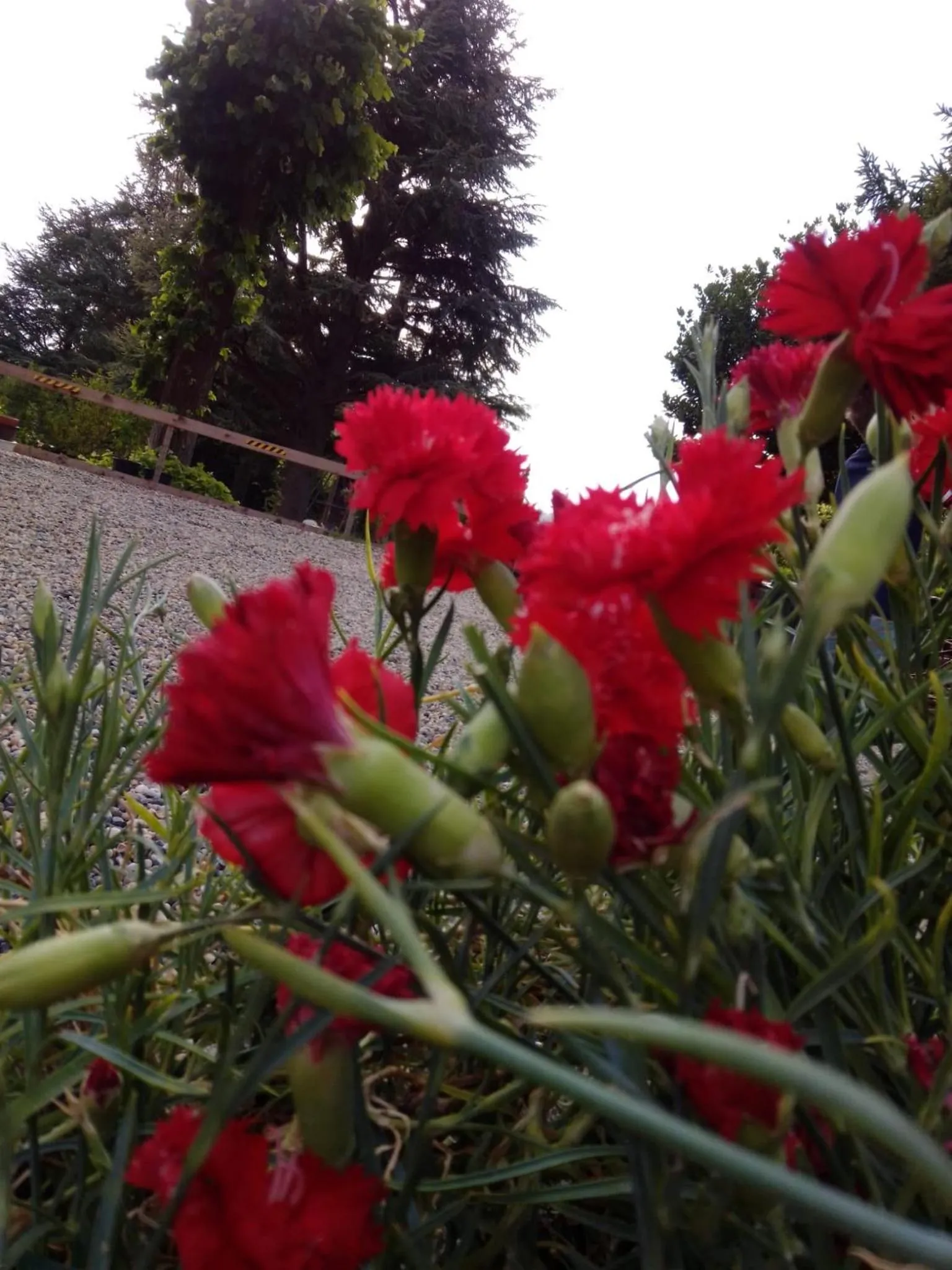 Garden in Casa T Bed and Breakfast & Home Restaurant di Tacchino Simone