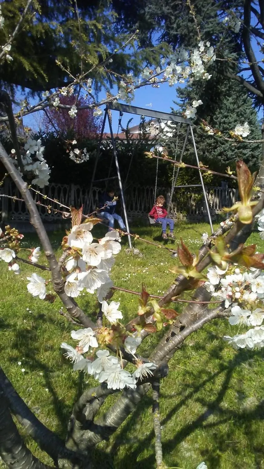 Children play ground in Casa T Bed and Breakfast & Home Restaurant di Tacchino Simone