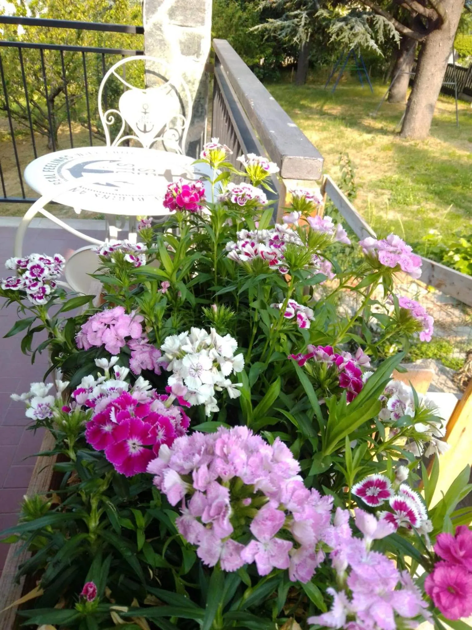 Patio in Casa T Bed and Breakfast & Home Restaurant di Tacchino Simone