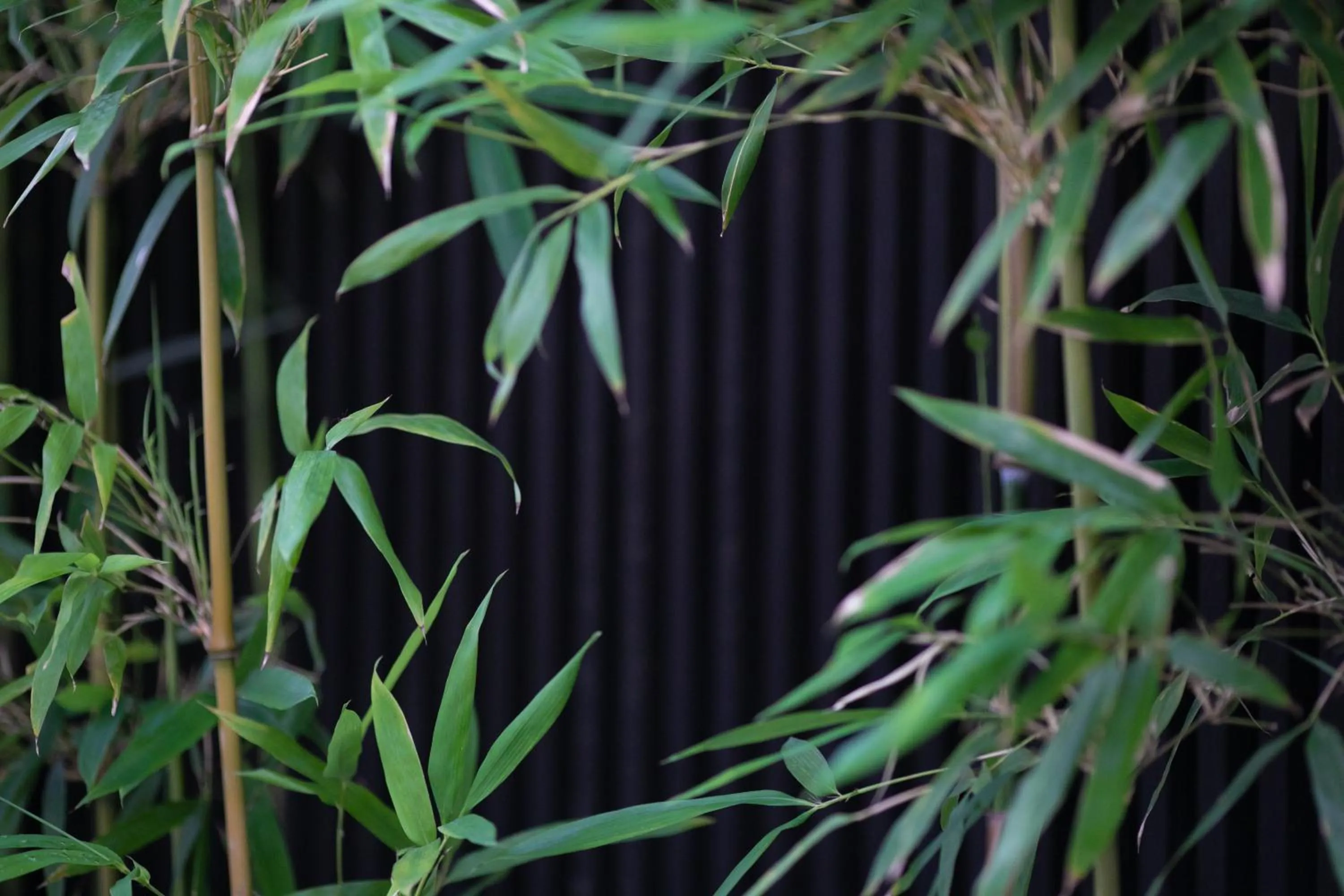 Property building in Ohanabo