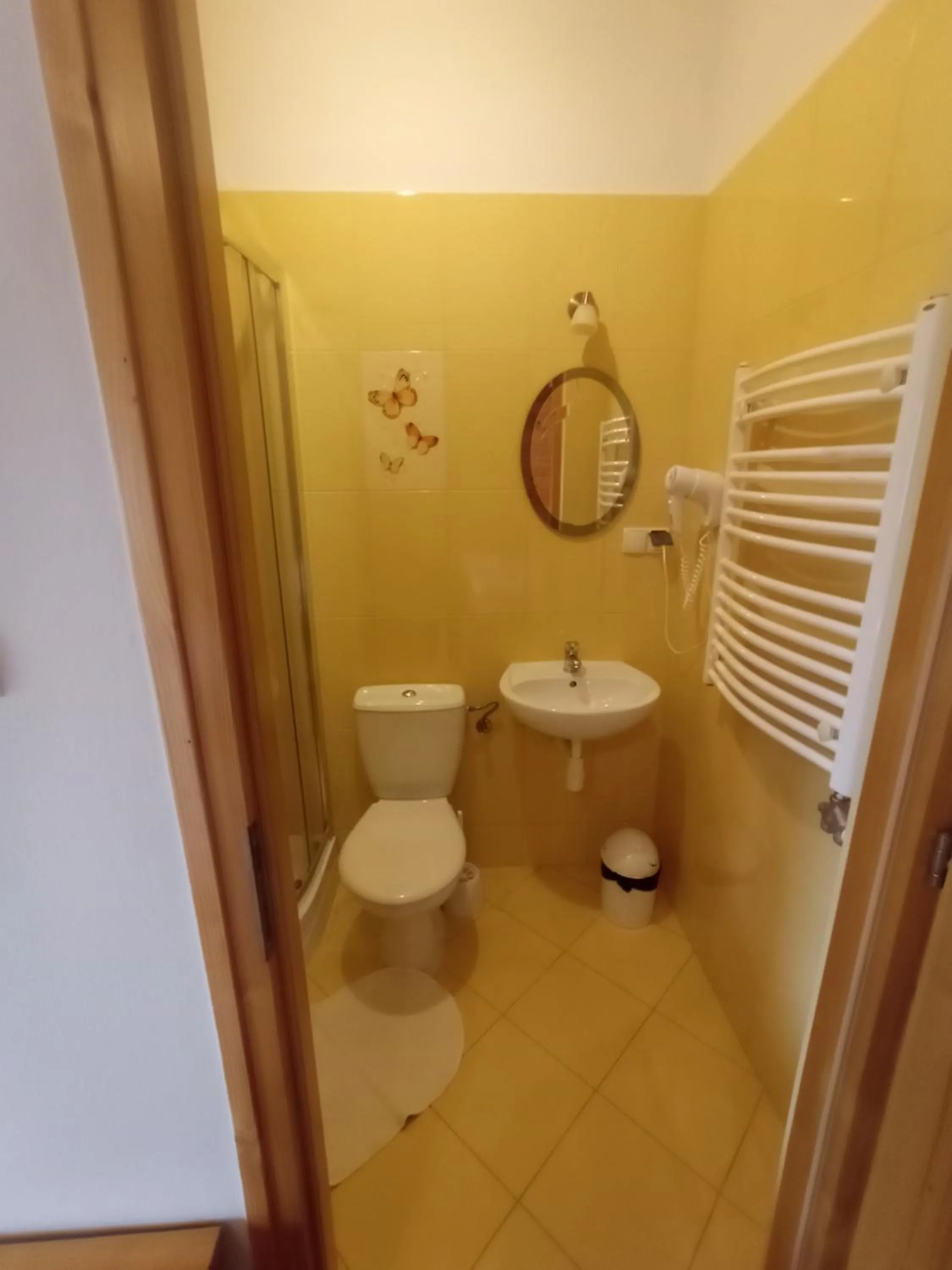 Toilet in Tatrzańska Rezydencja pod Brzyzkiem