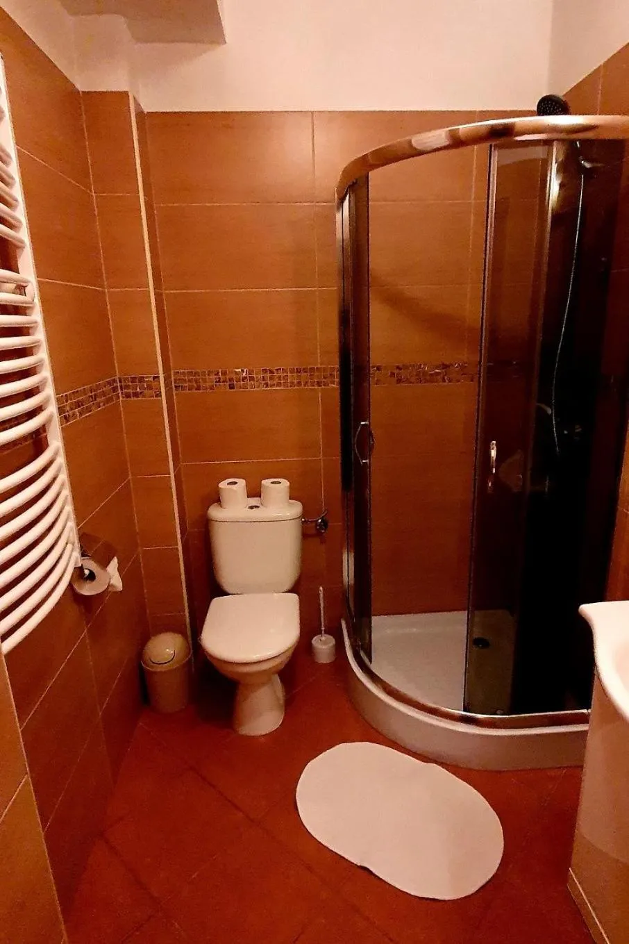 Bathroom in Tatrzańska Rezydencja pod Brzyzkiem