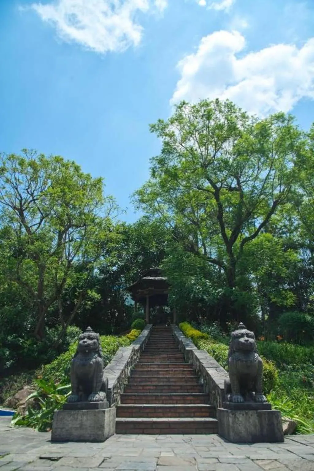 Garden in Hotel Yak & Yeti