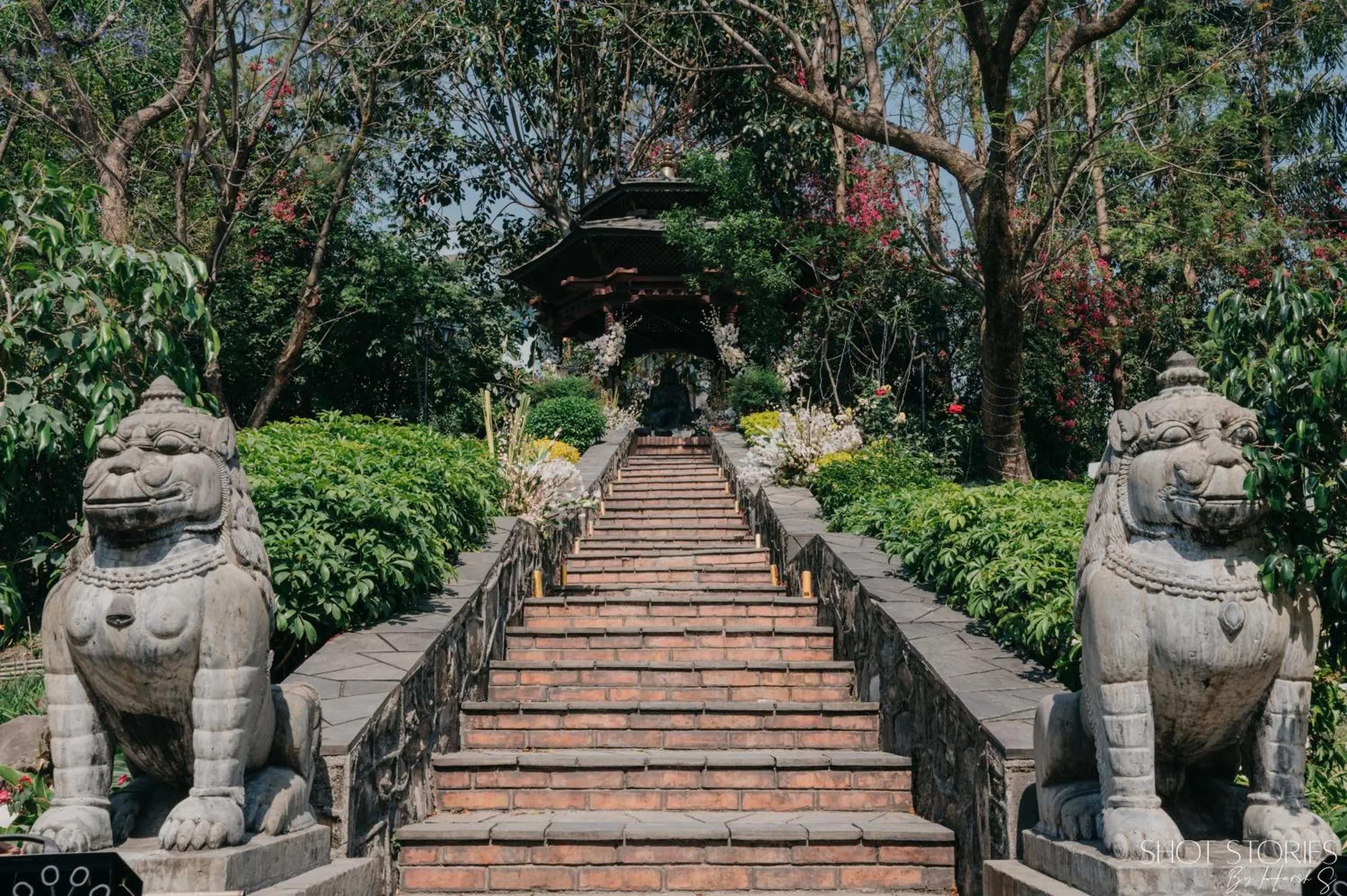 Garden in Hotel Yak & Yeti