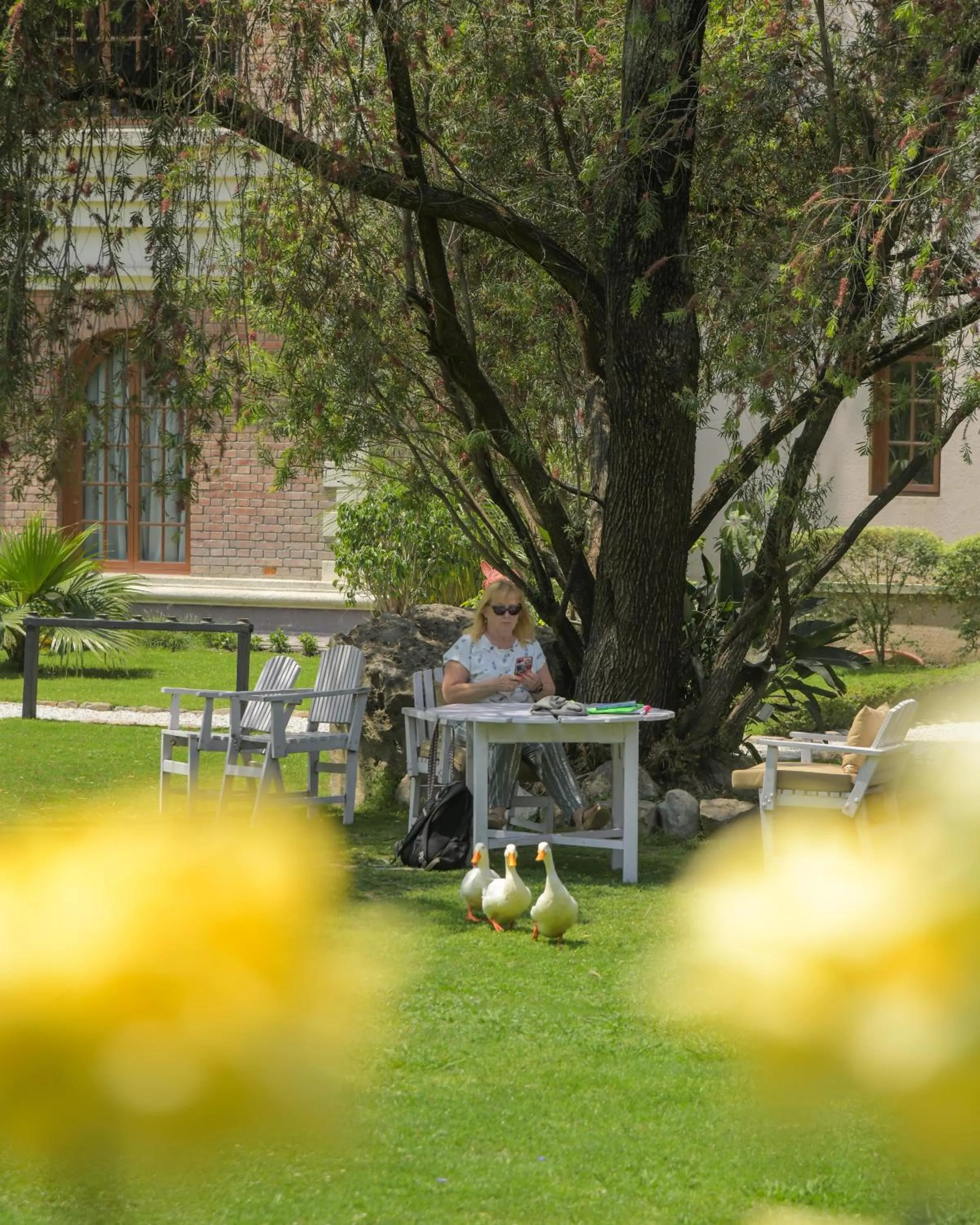 Garden in Hotel Yak & Yeti