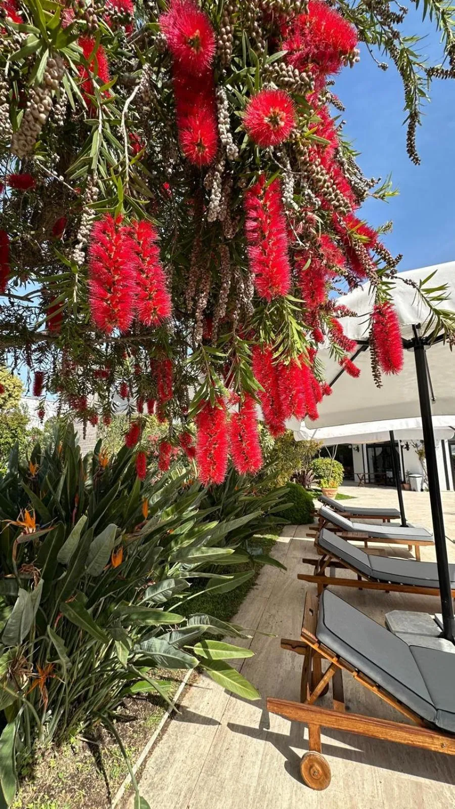 Garden in Hotel Karia Princess