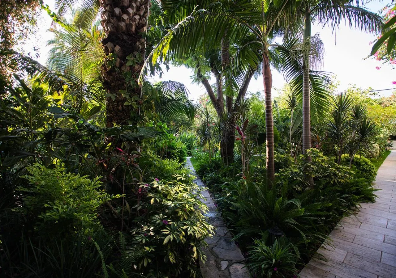 Natural landscape in Hotel Karia Princess