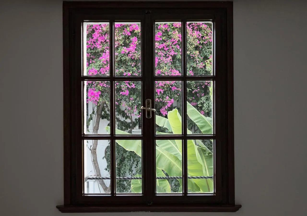 Garden in Hotel Karia Princess