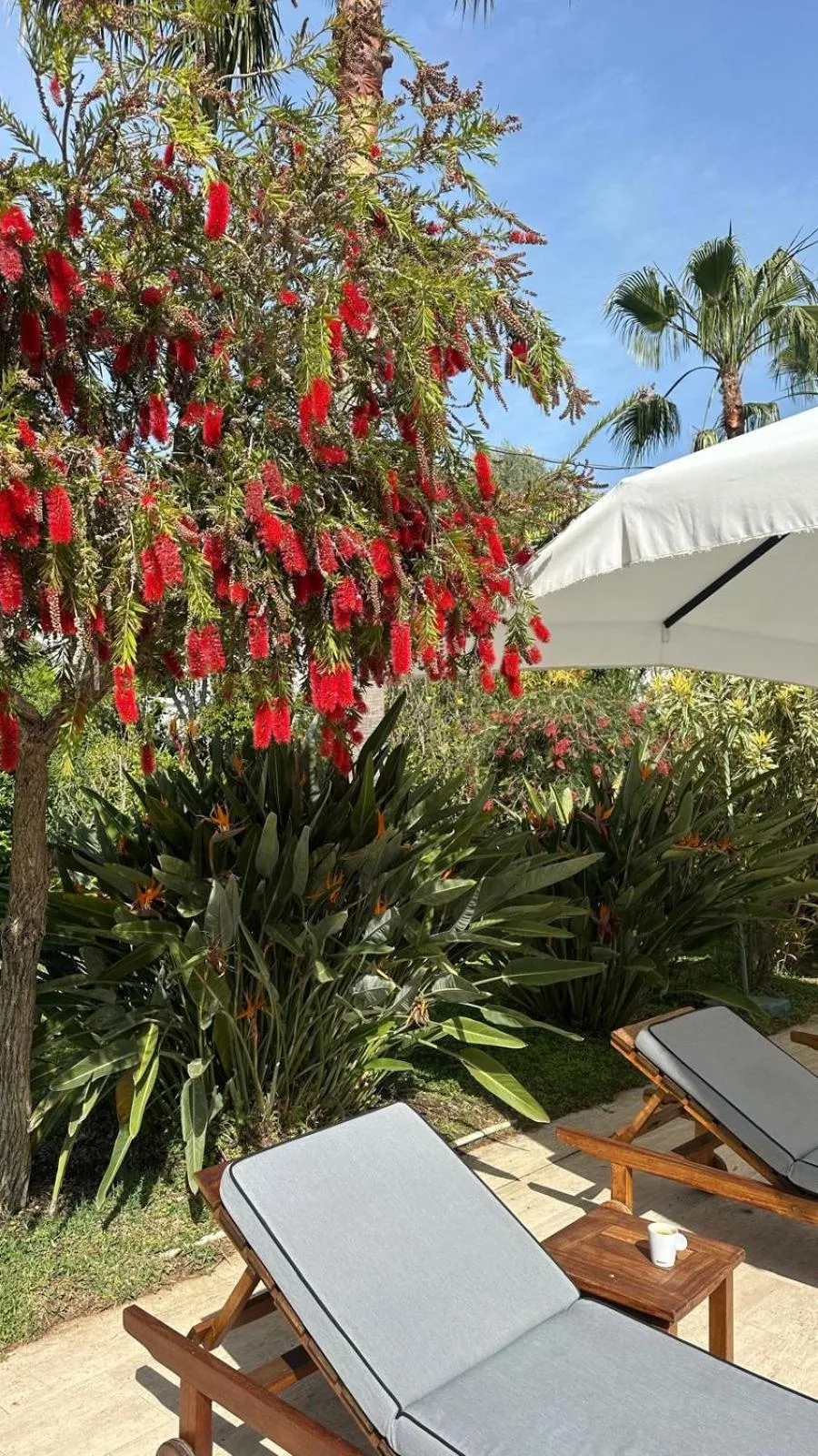 Garden in Hotel Karia Princess