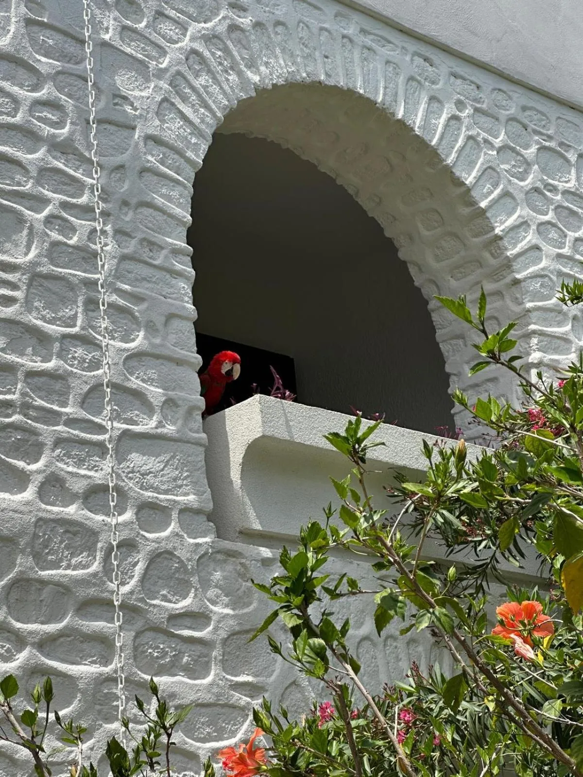 Garden in Hotel Karia Princess