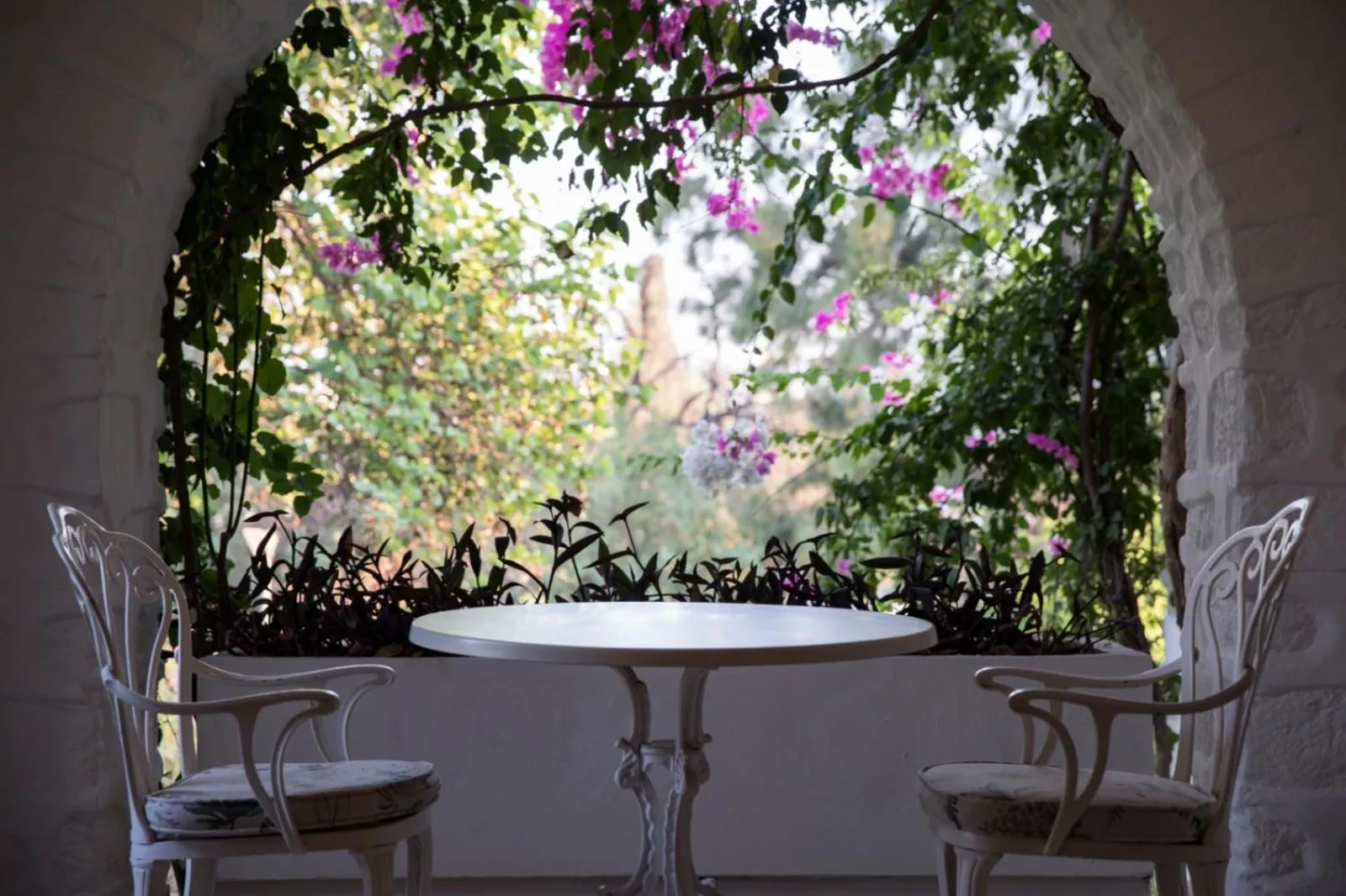 Patio in Hotel Karia Princess