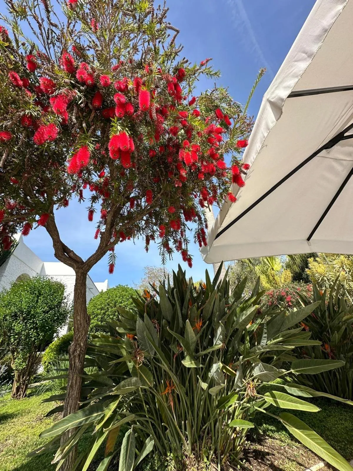 Garden in Hotel Karia Princess