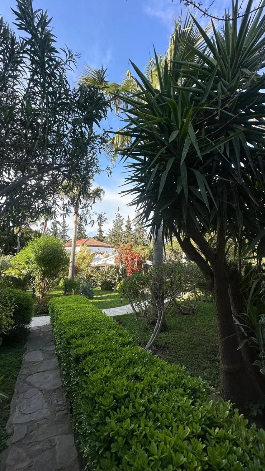Garden in Hotel Karia Princess