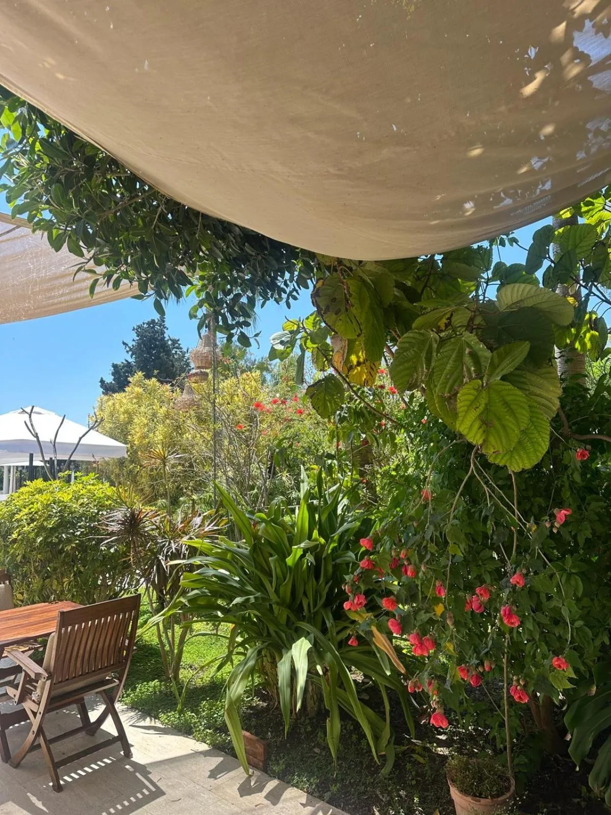 Restaurant/places to eat in Hotel Karia Princess