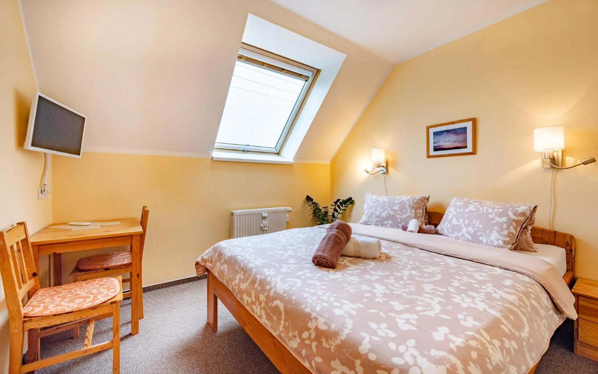 Double Room - single occupancy in Pension Čtyřlístek