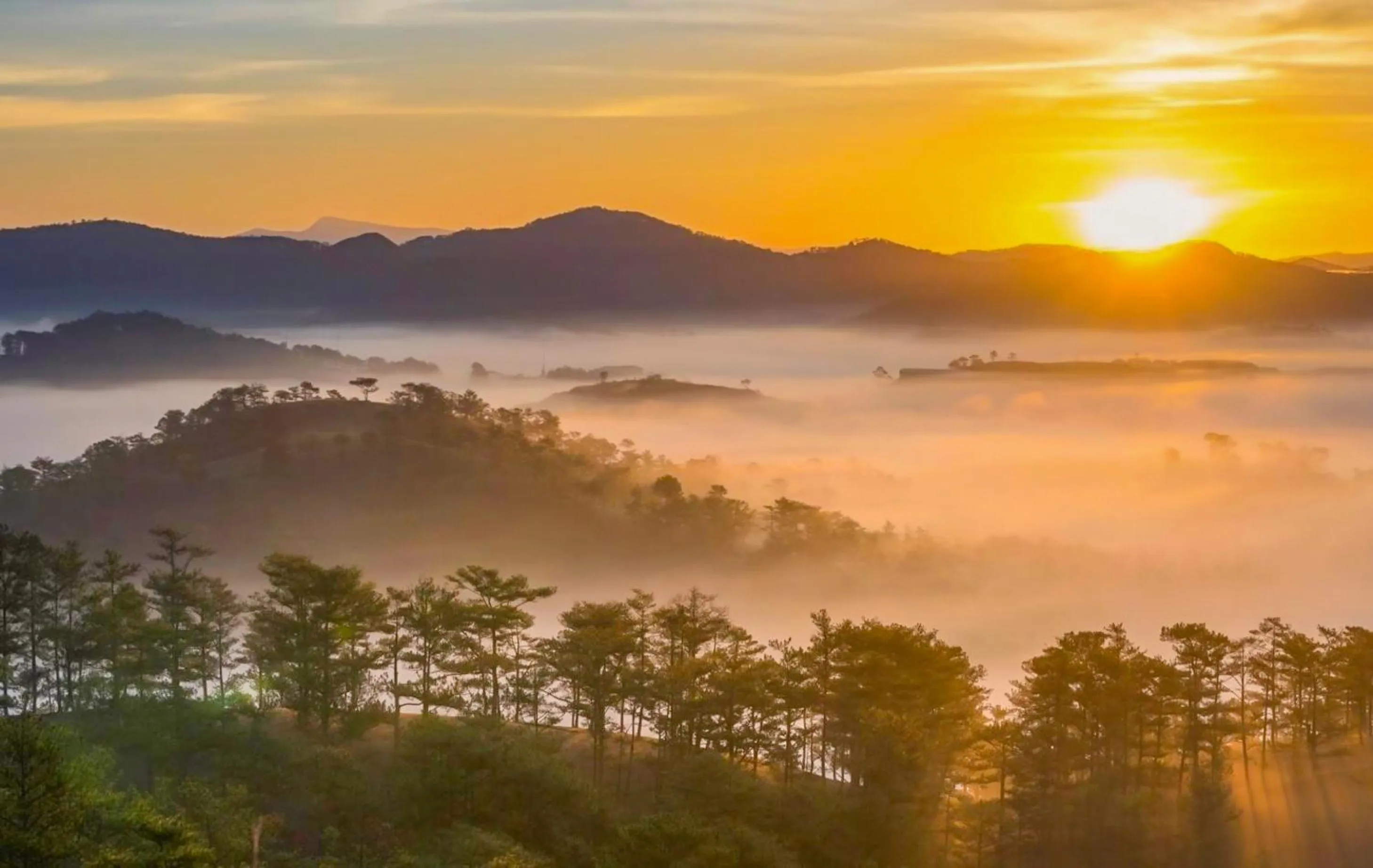 Nearby landmark in Jolie House