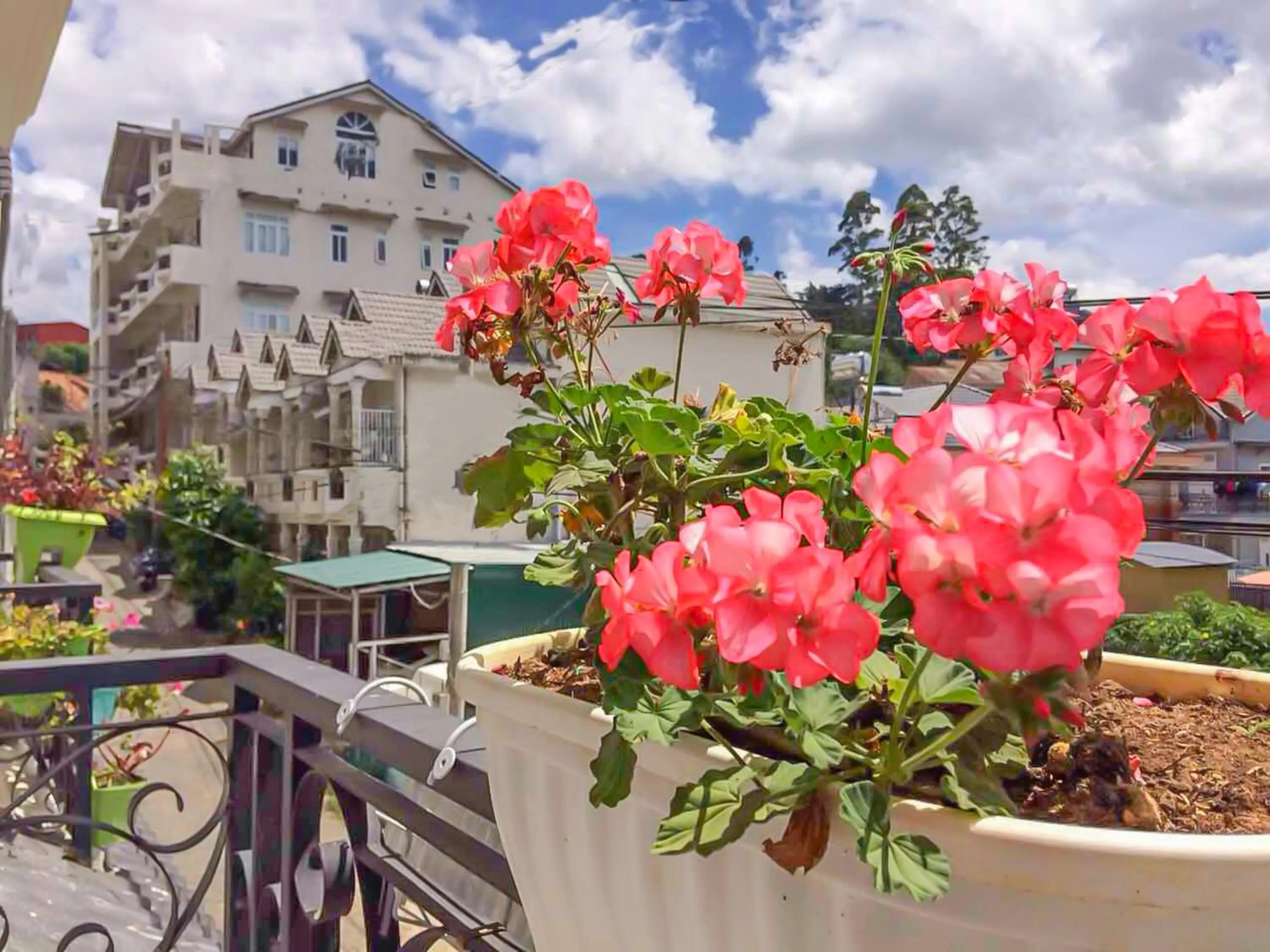 Balcony/Terrace in Jolie House