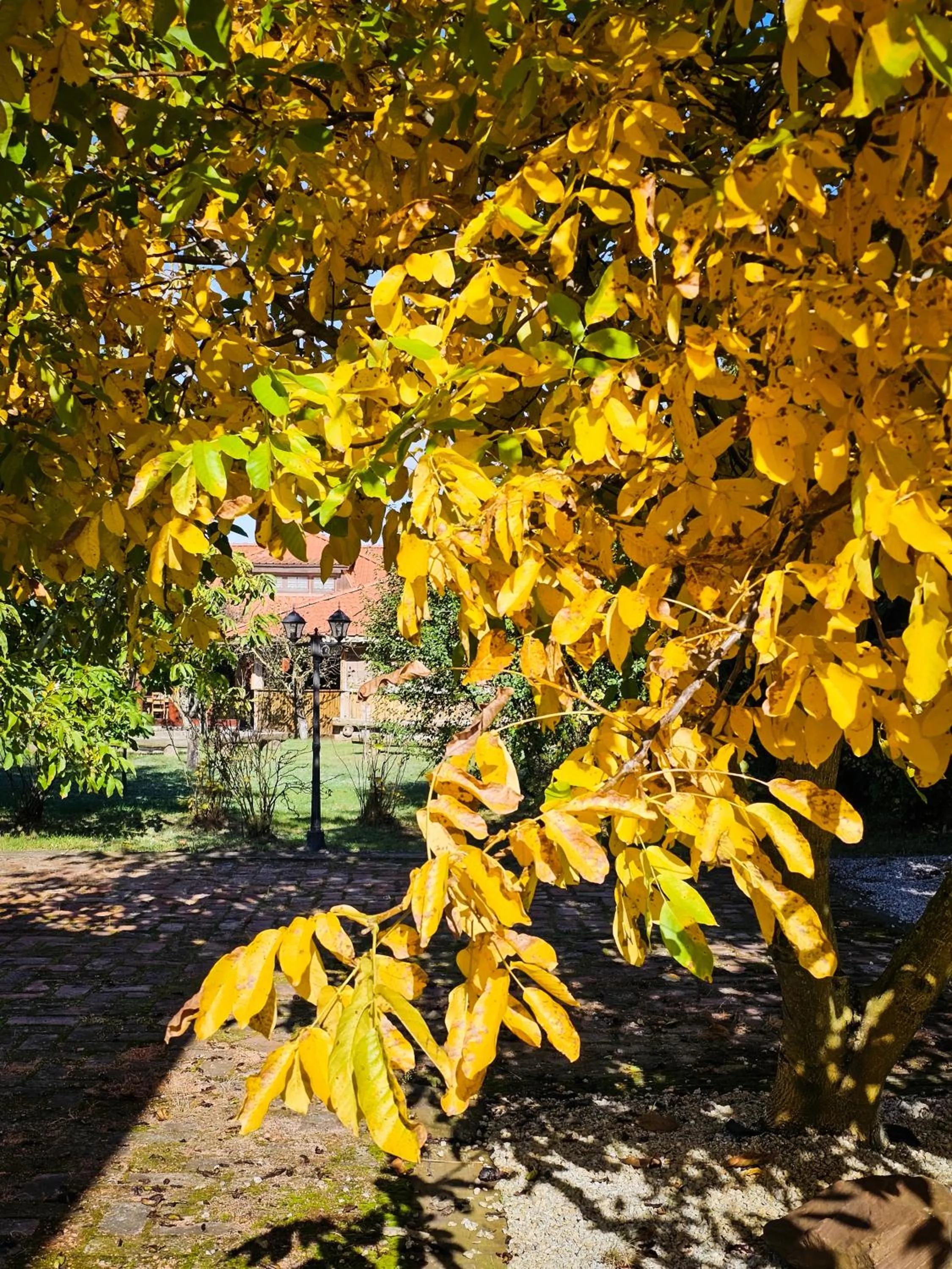Day in Gościniec Gryszczeniówka & SPA