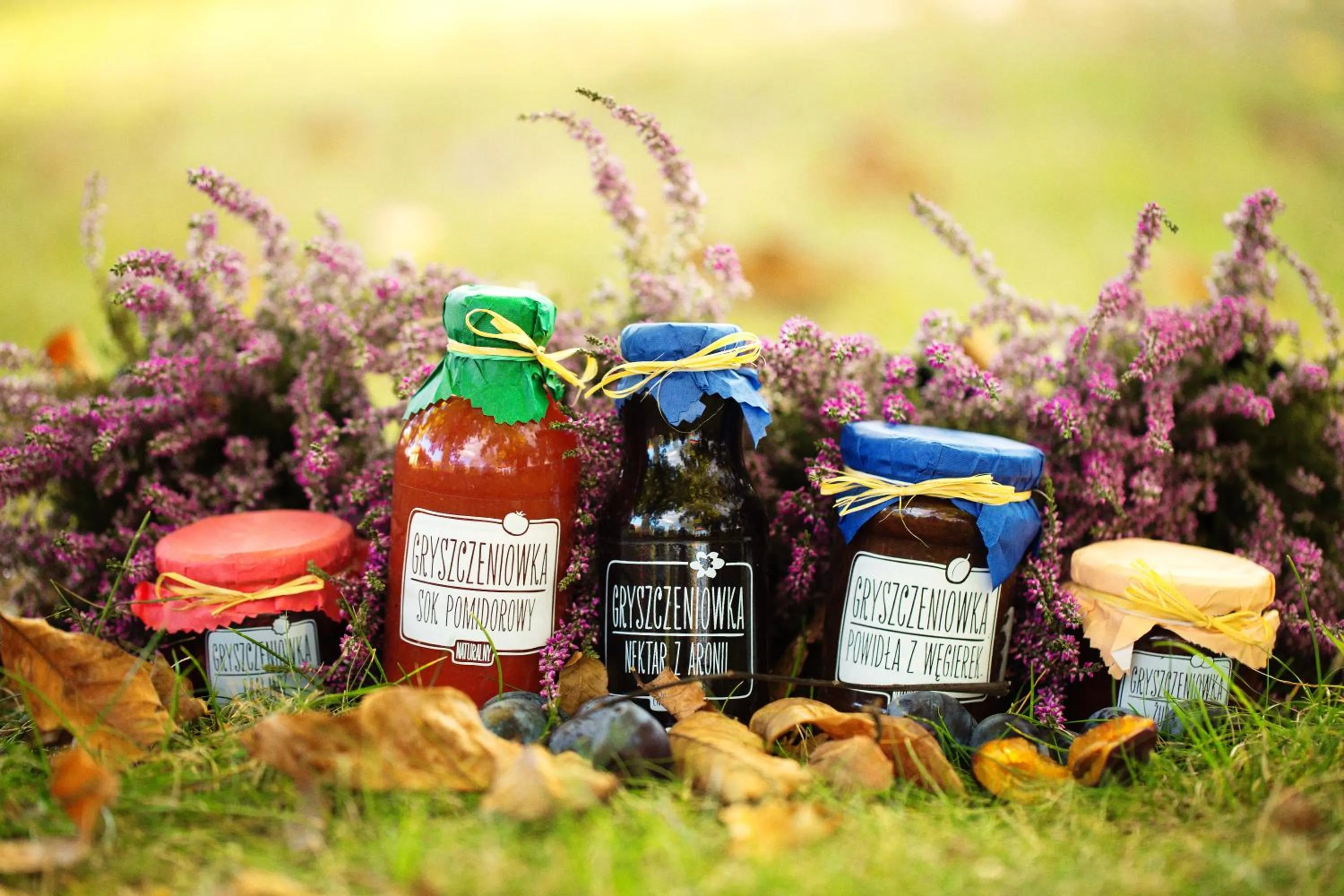 Spring in Gościniec Gryszczeniówka & SPA