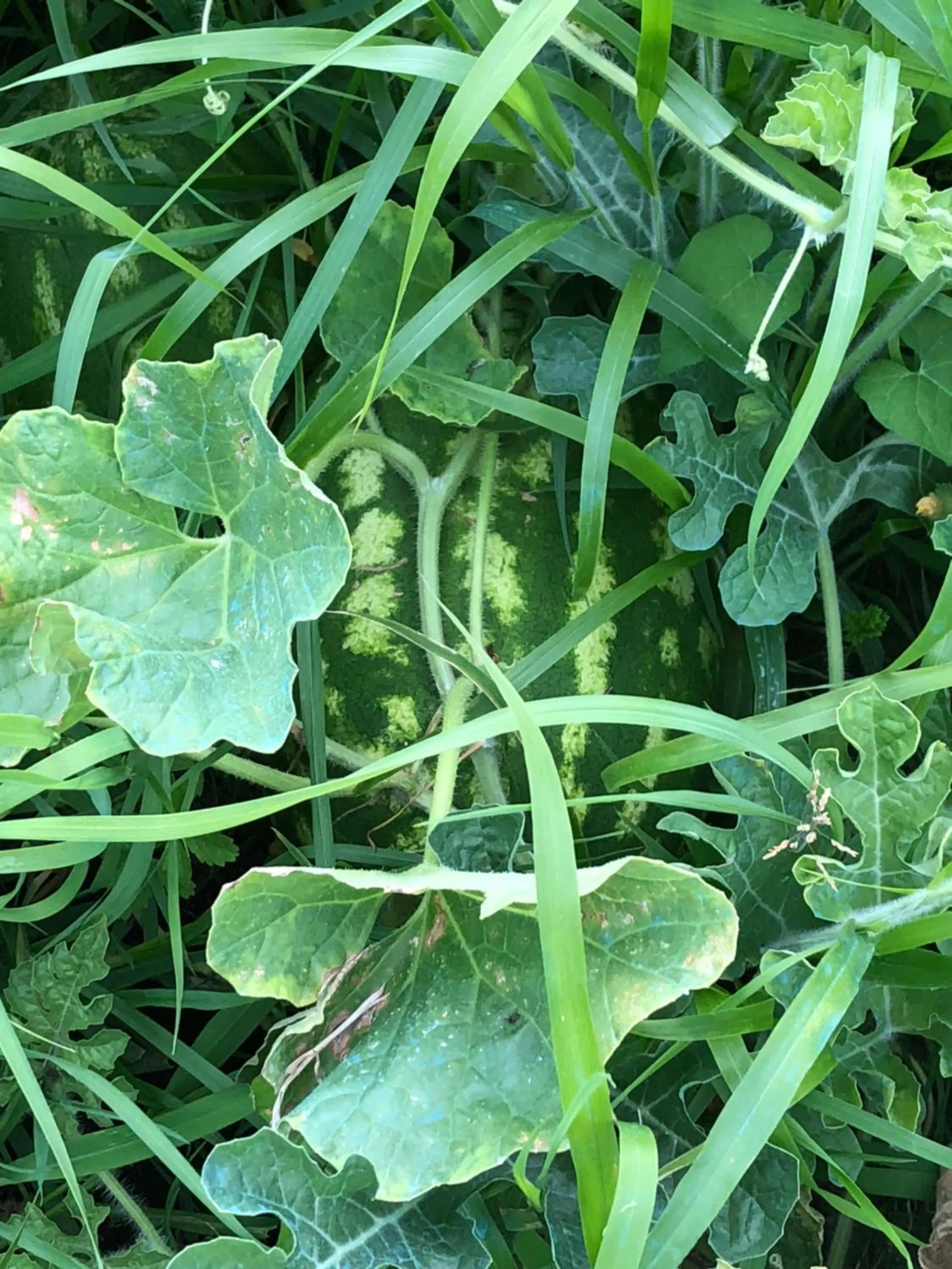 Property building in B&B la Serenissima