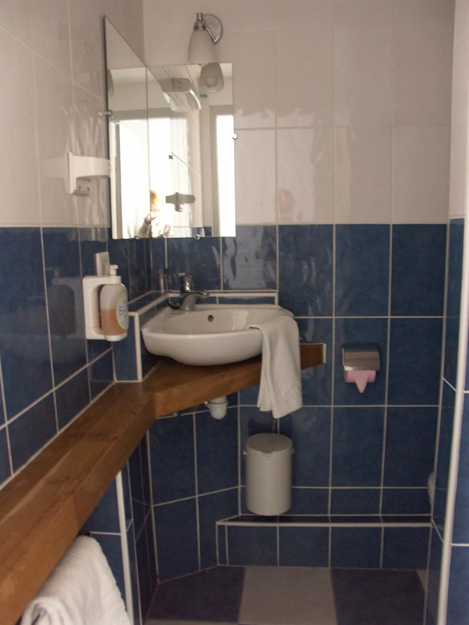 Bathroom in Hôtel du Palais