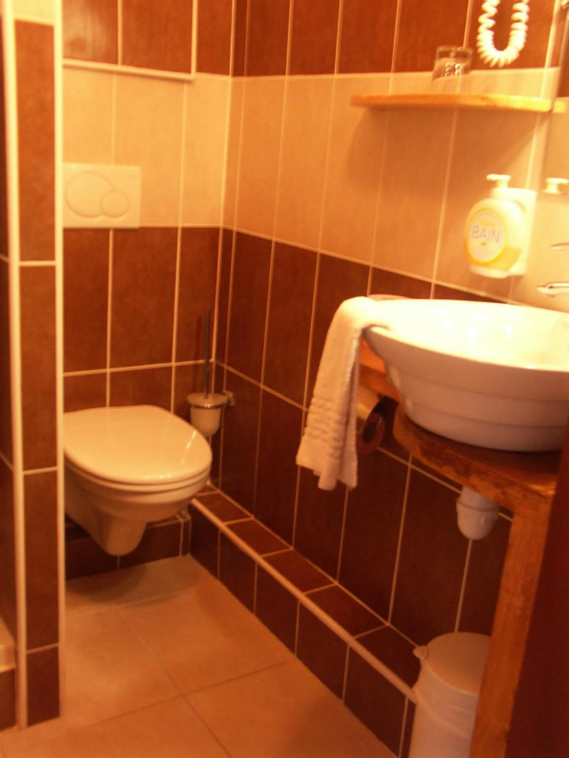 Bathroom in Hôtel du Palais