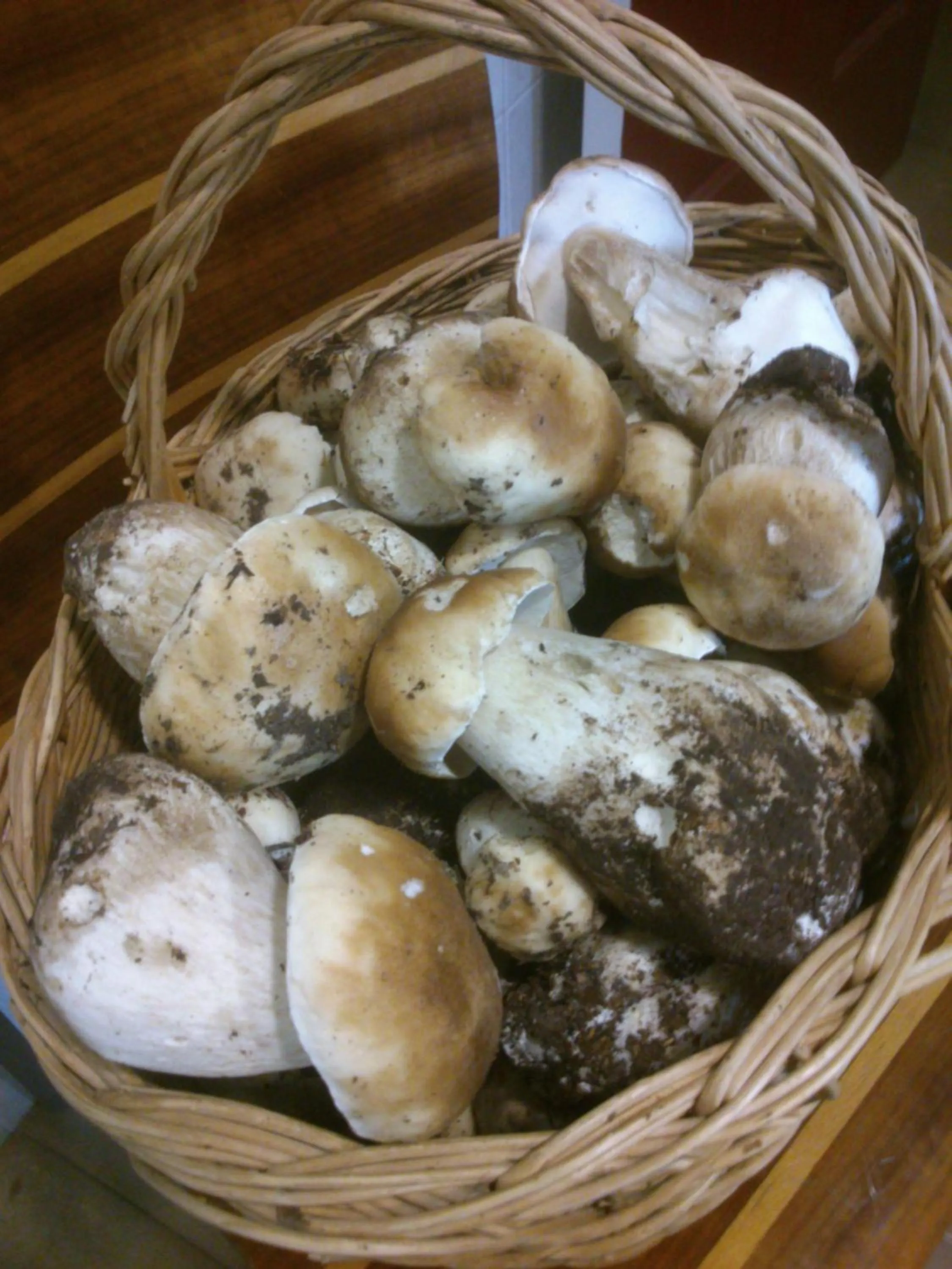 Area and facilities in Bungalows Granja Escuela Arlanzón