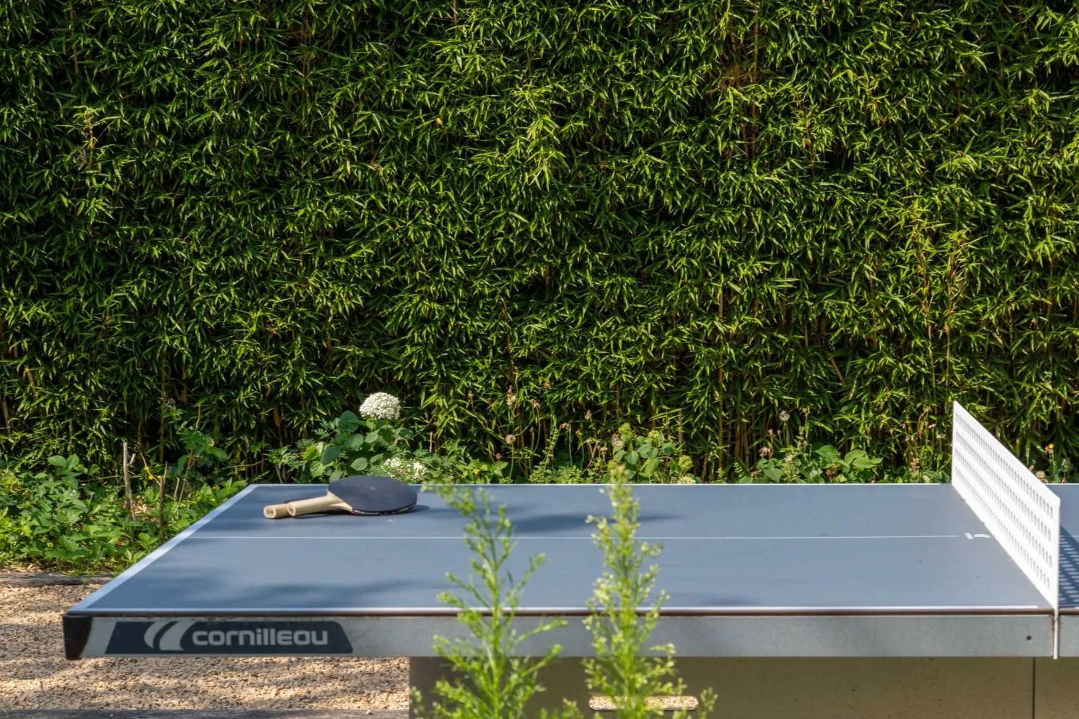 Garden in Atlas Guesthouse