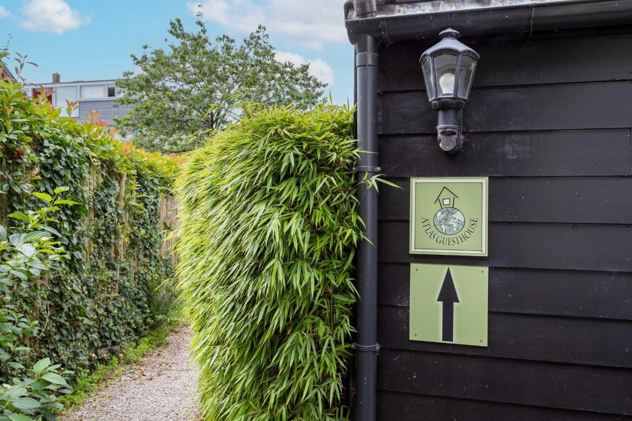 Garden in Atlas Guesthouse