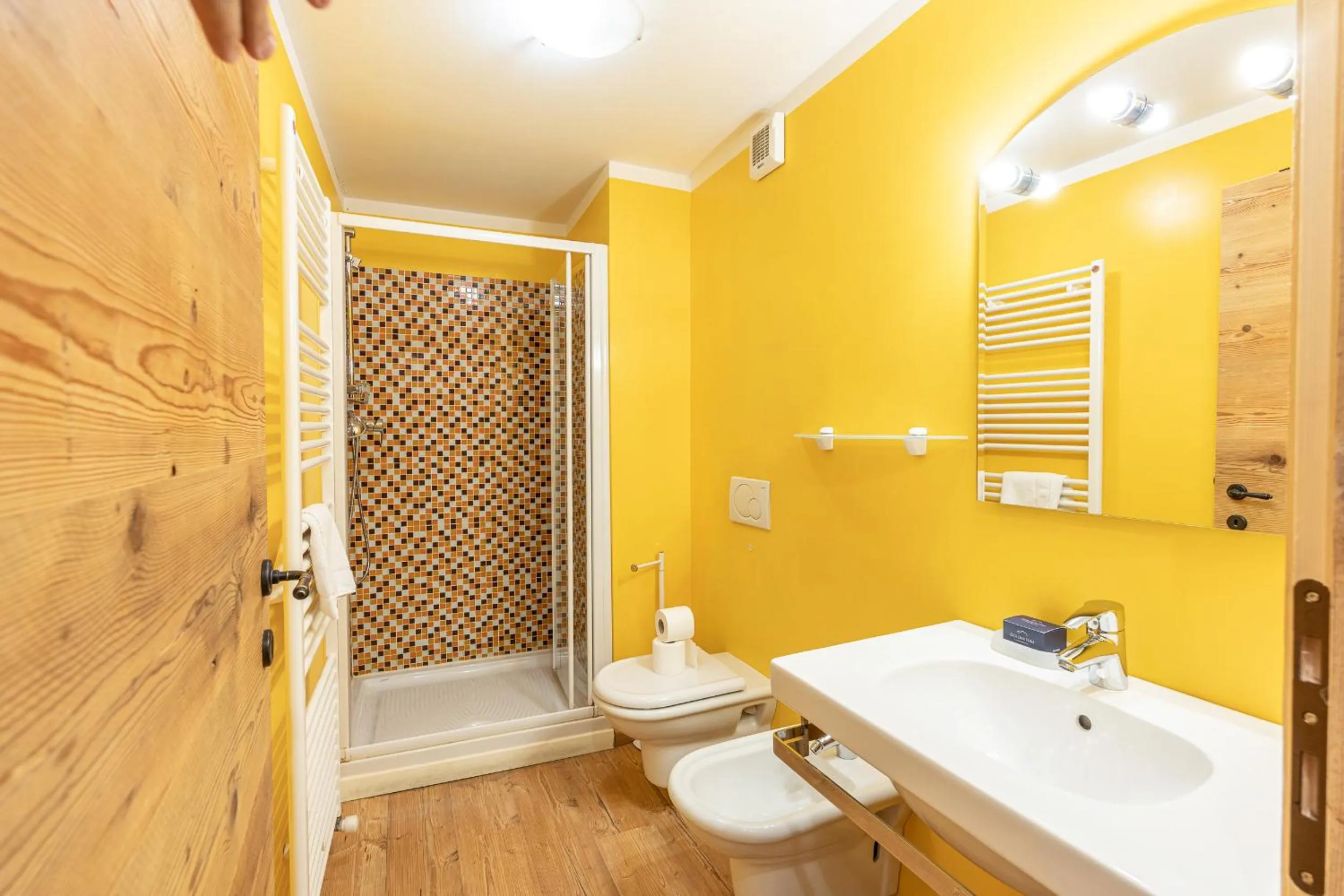 Shower in Alla Regia