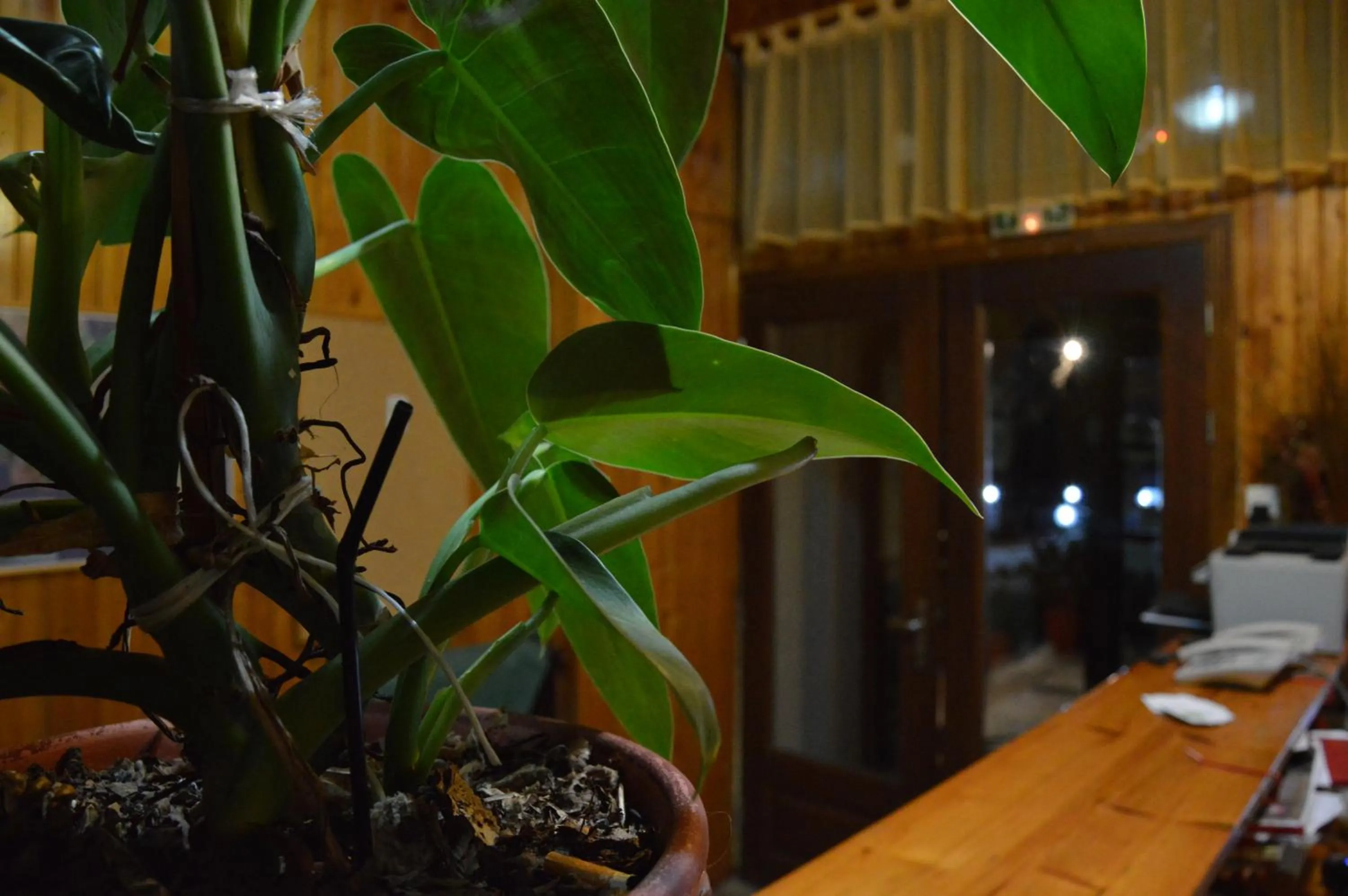 Lobby or reception in Hotel Hani Zisi