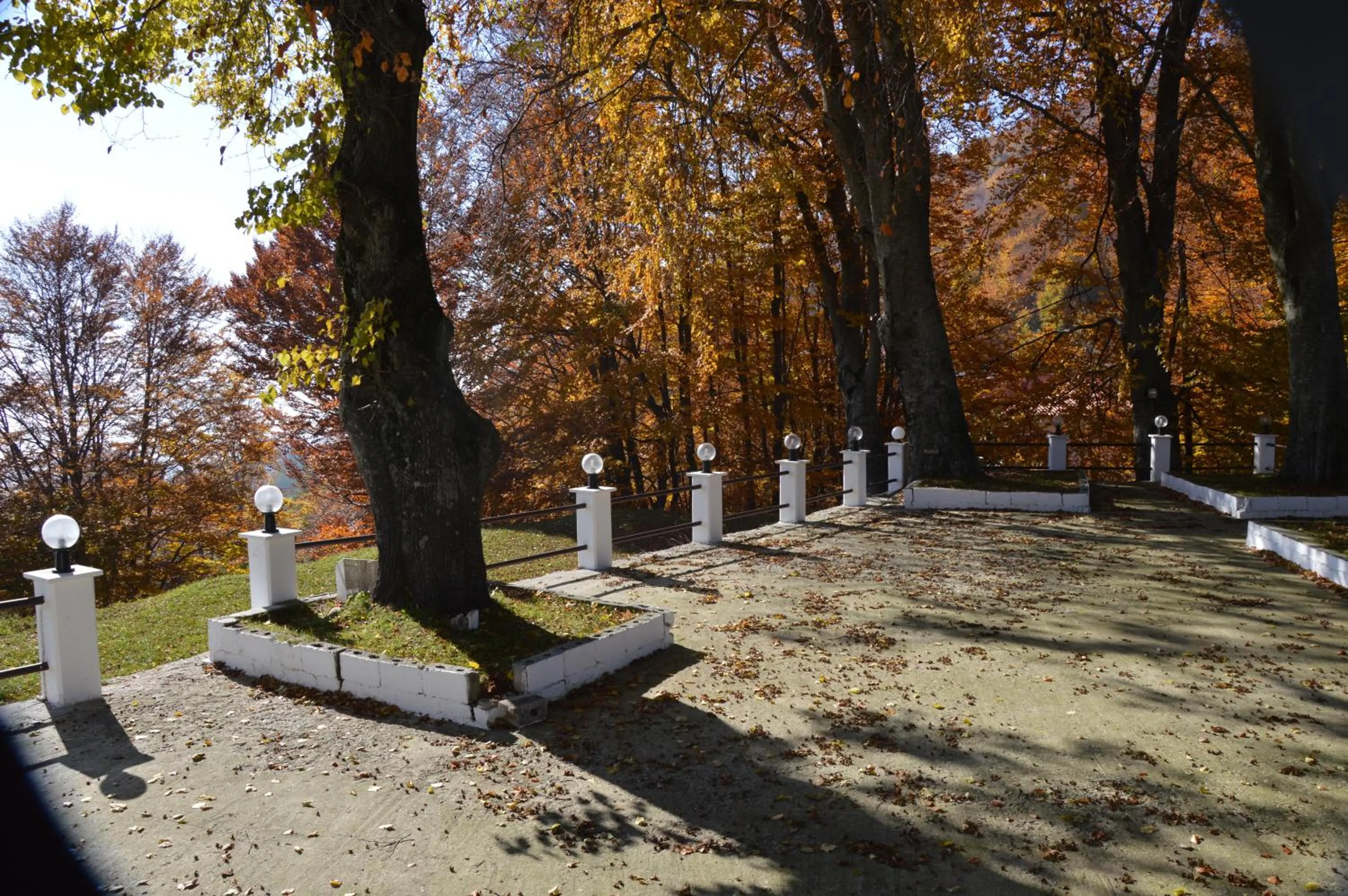 Garden in Hotel Hani Zisi