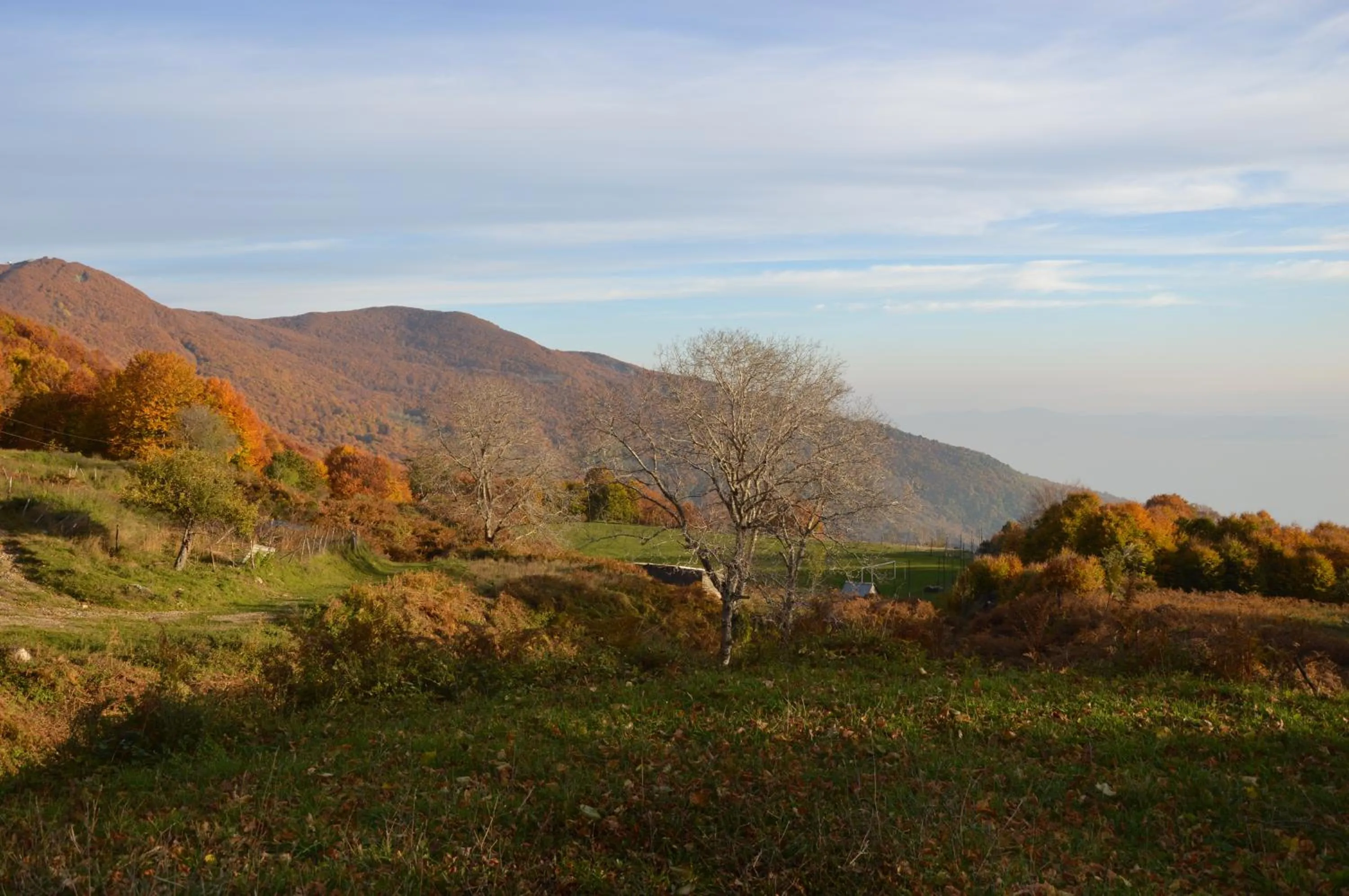 Property building in Hotel Hani Zisi