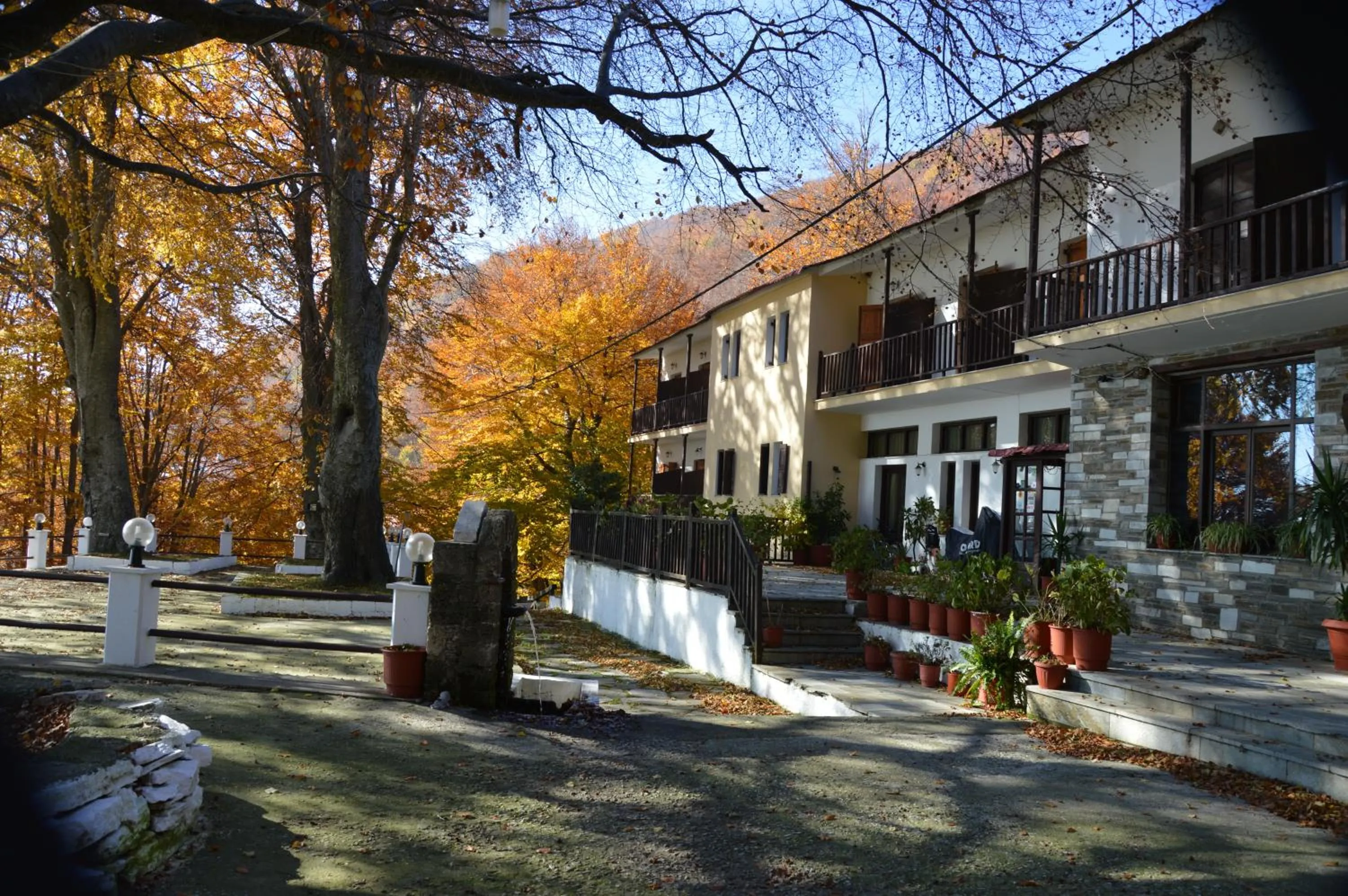 Property building in Hotel Hani Zisi
