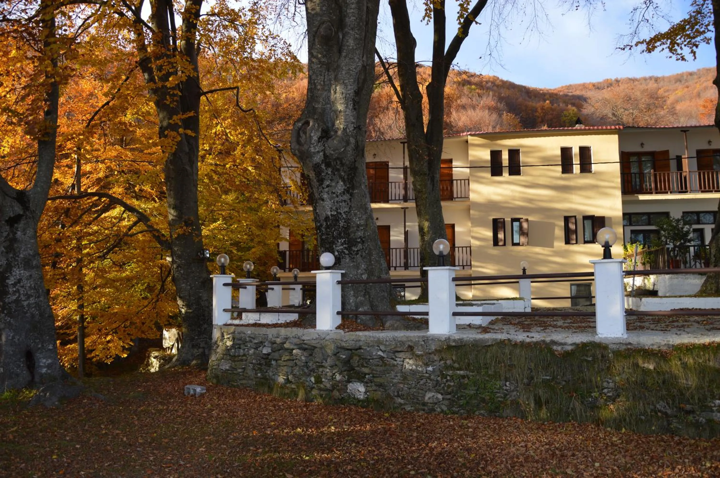 Property building in Hotel Hani Zisi