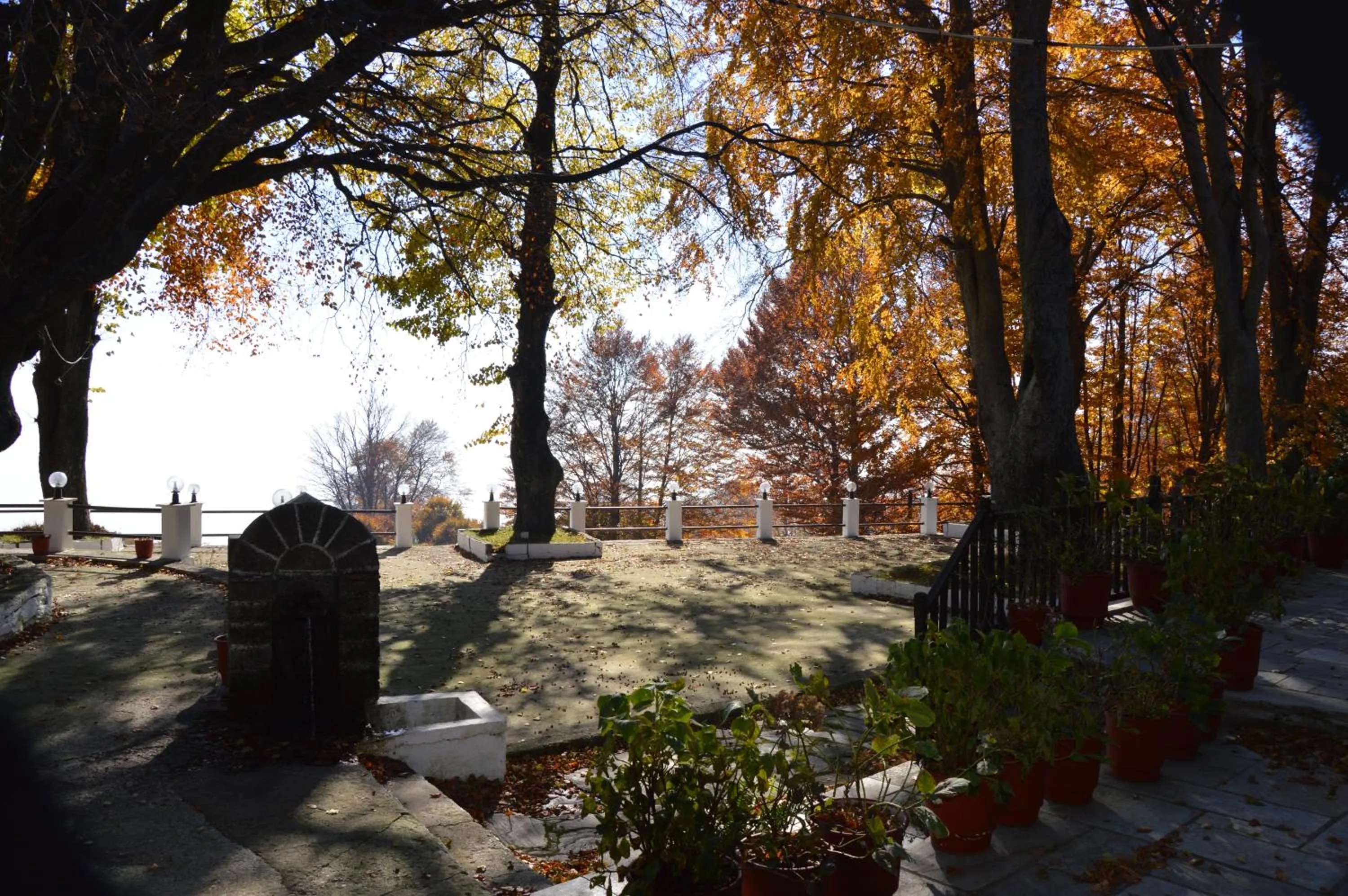 Garden in Hotel Hani Zisi