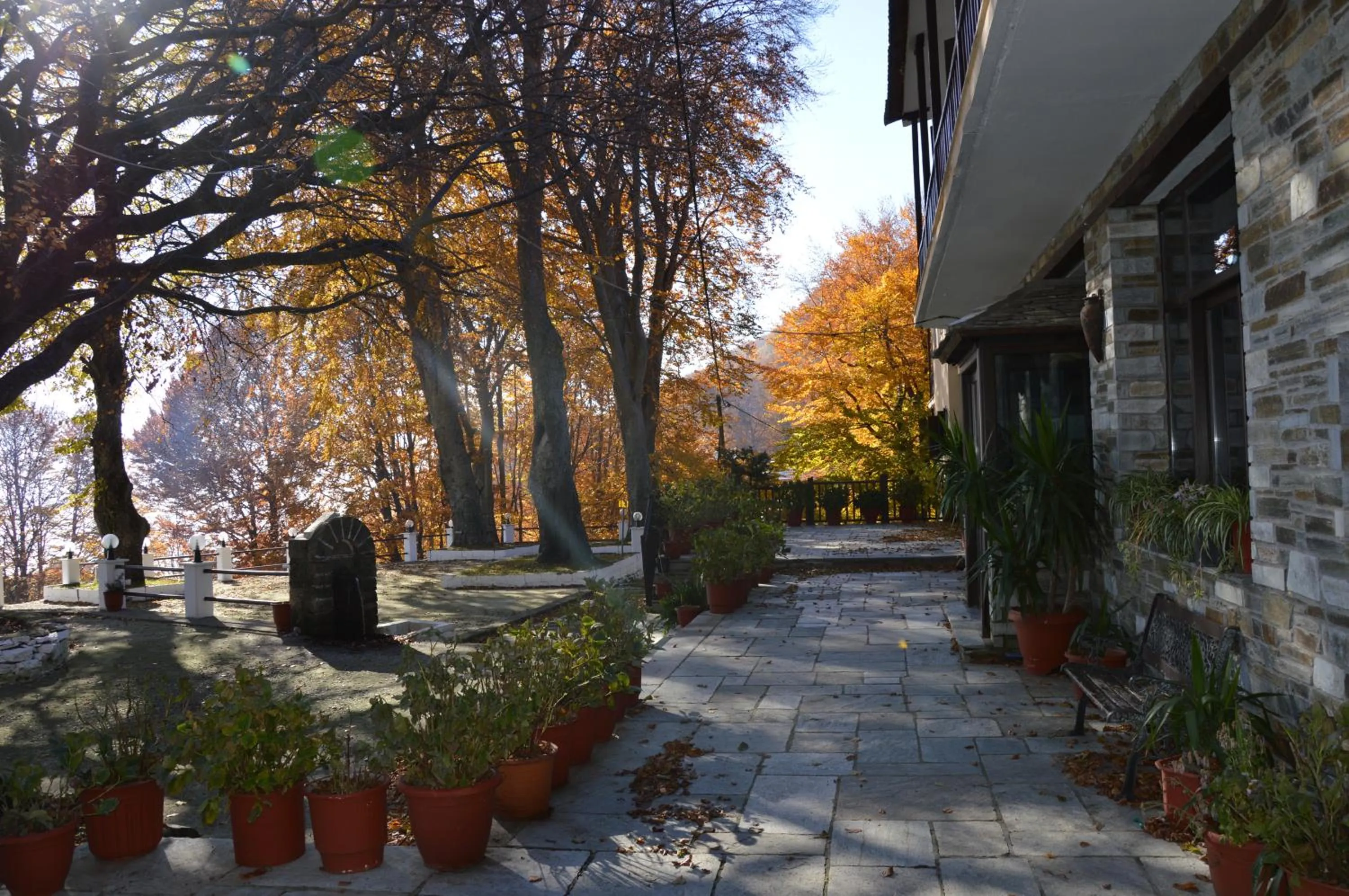 Facade/entrance in Hotel Hani Zisi