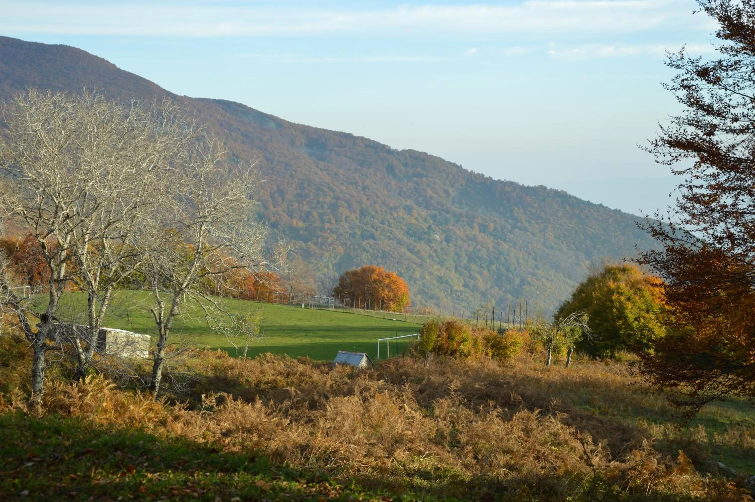 Other in Hotel Hani Zisi