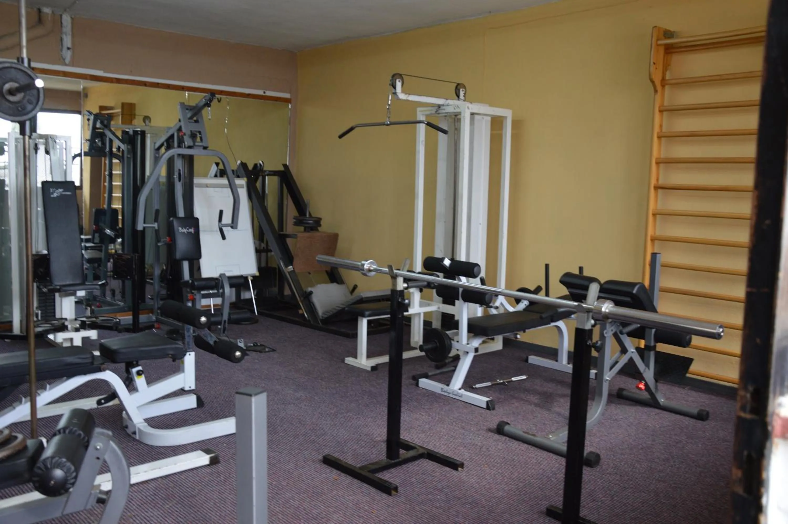 Fitness centre/facilities in Hotel Hani Zisi