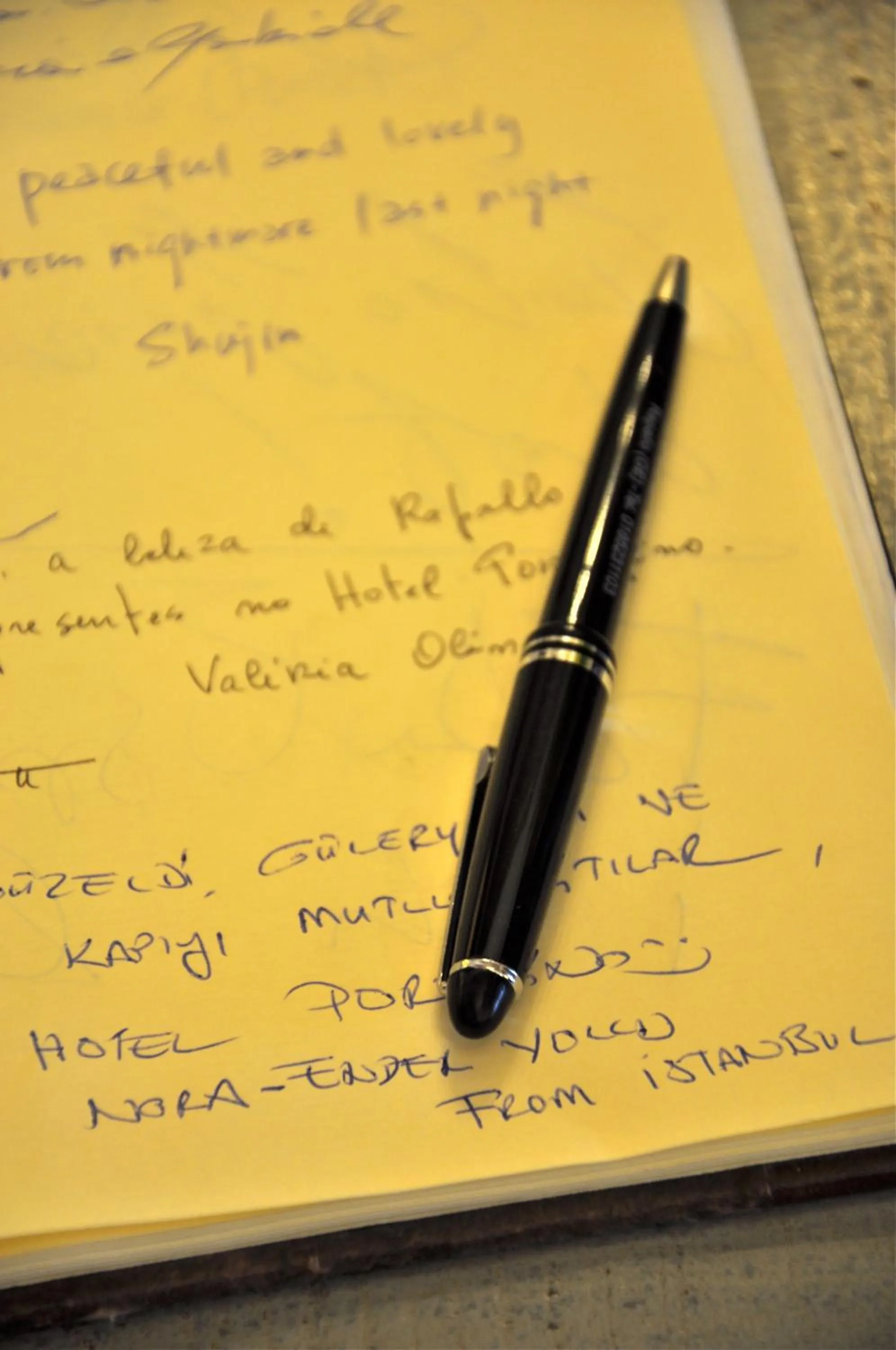 Decorative detail in Hotel Portofino