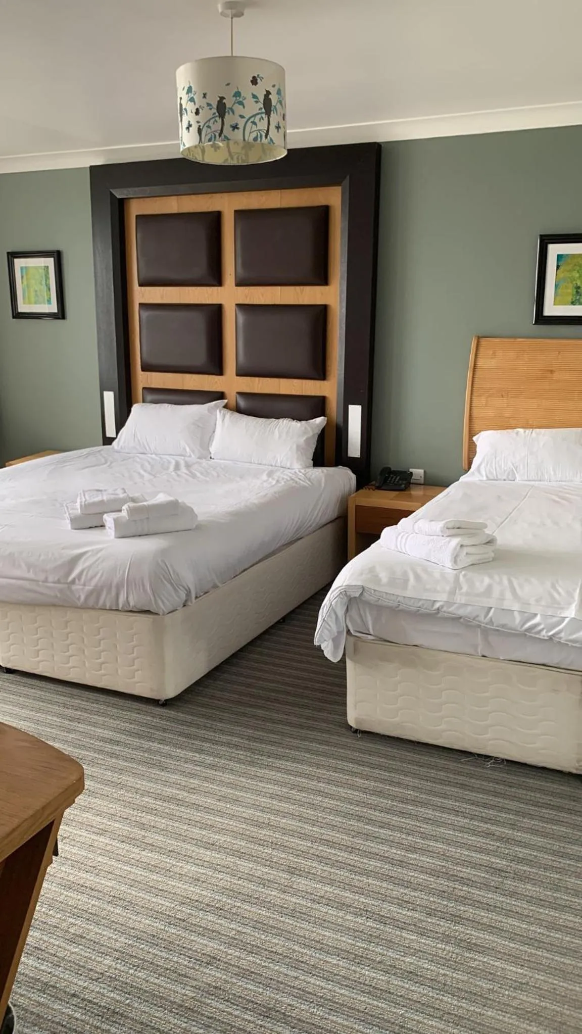 Bed in Citrus Hotel Eastbourne by Compass Hospitality