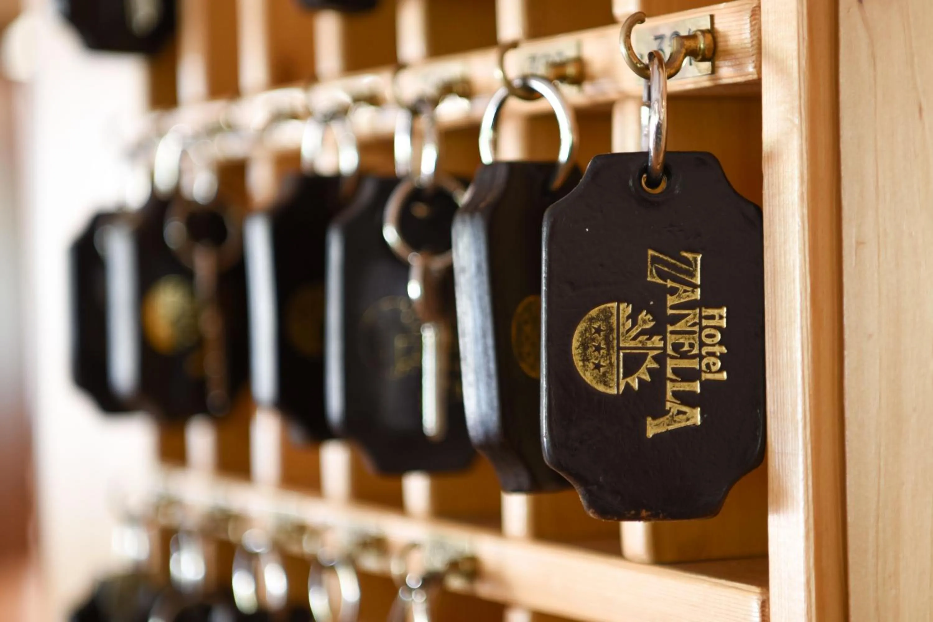 Property logo or sign in Hotel Zanella