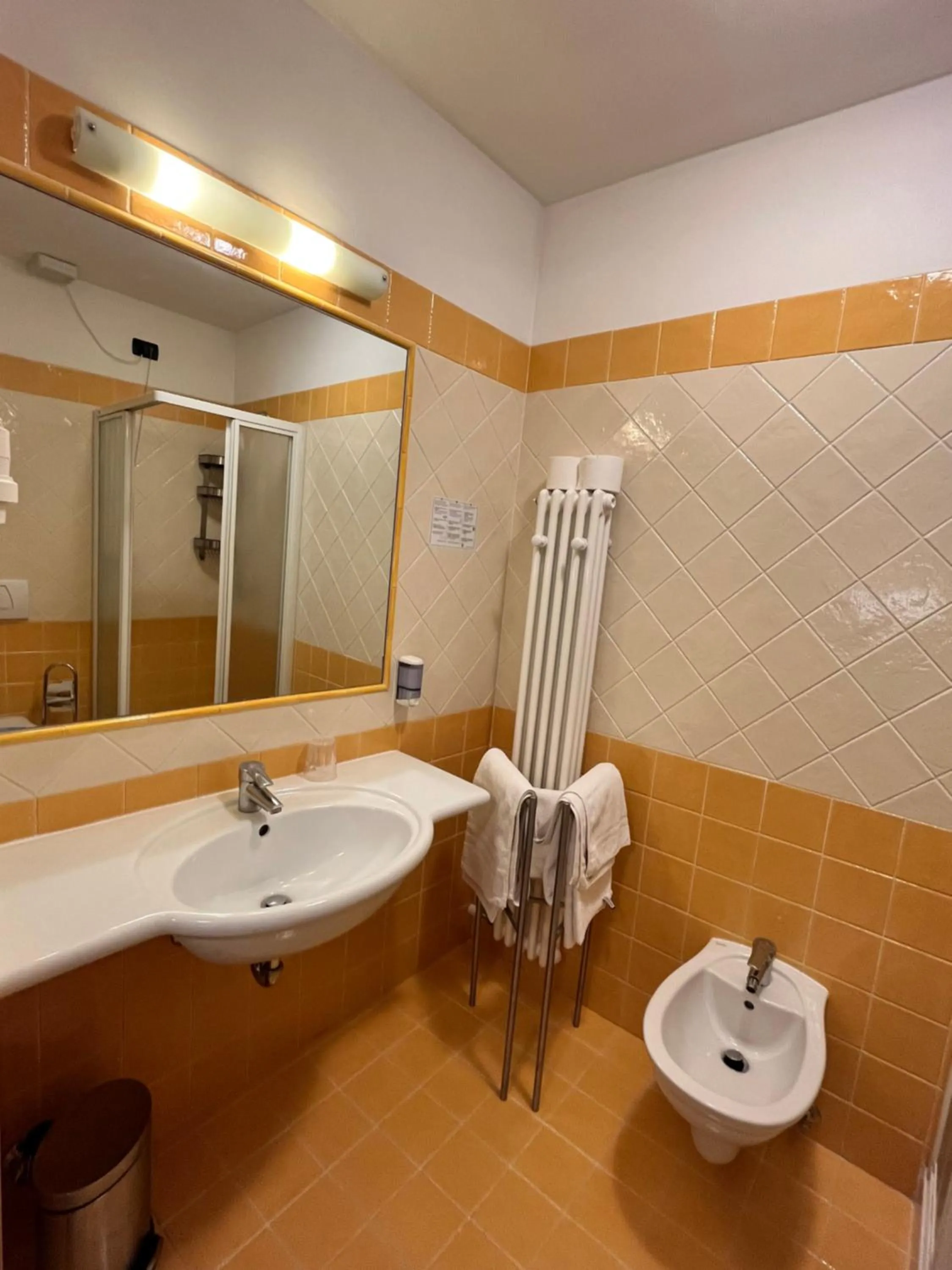 Bathroom in Hotel Zanella