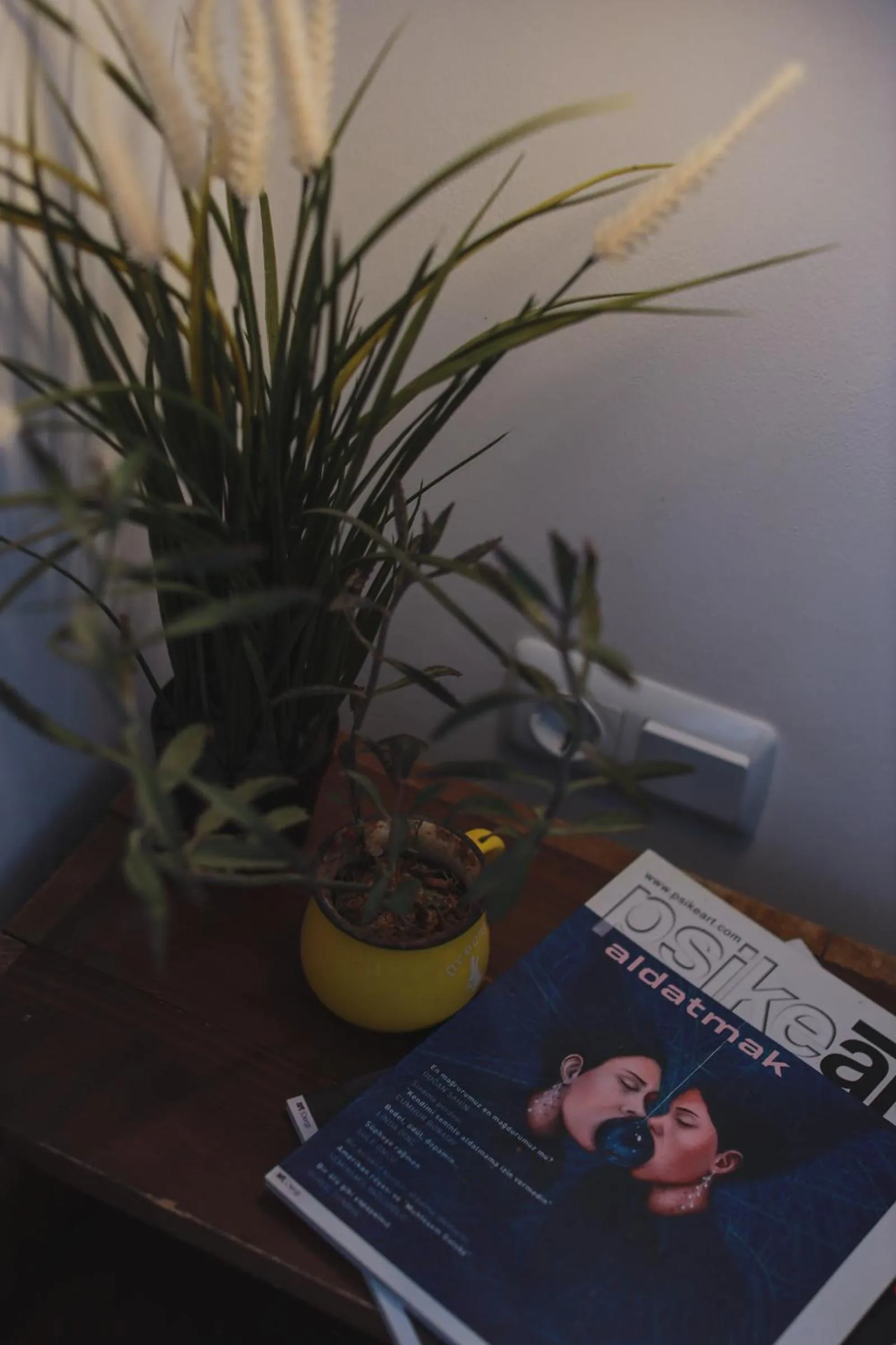 Decorative detail in Limon Inn Hotel, Taşucu