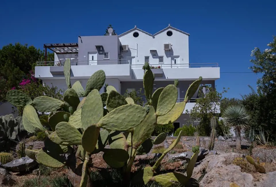 George Beach Studios