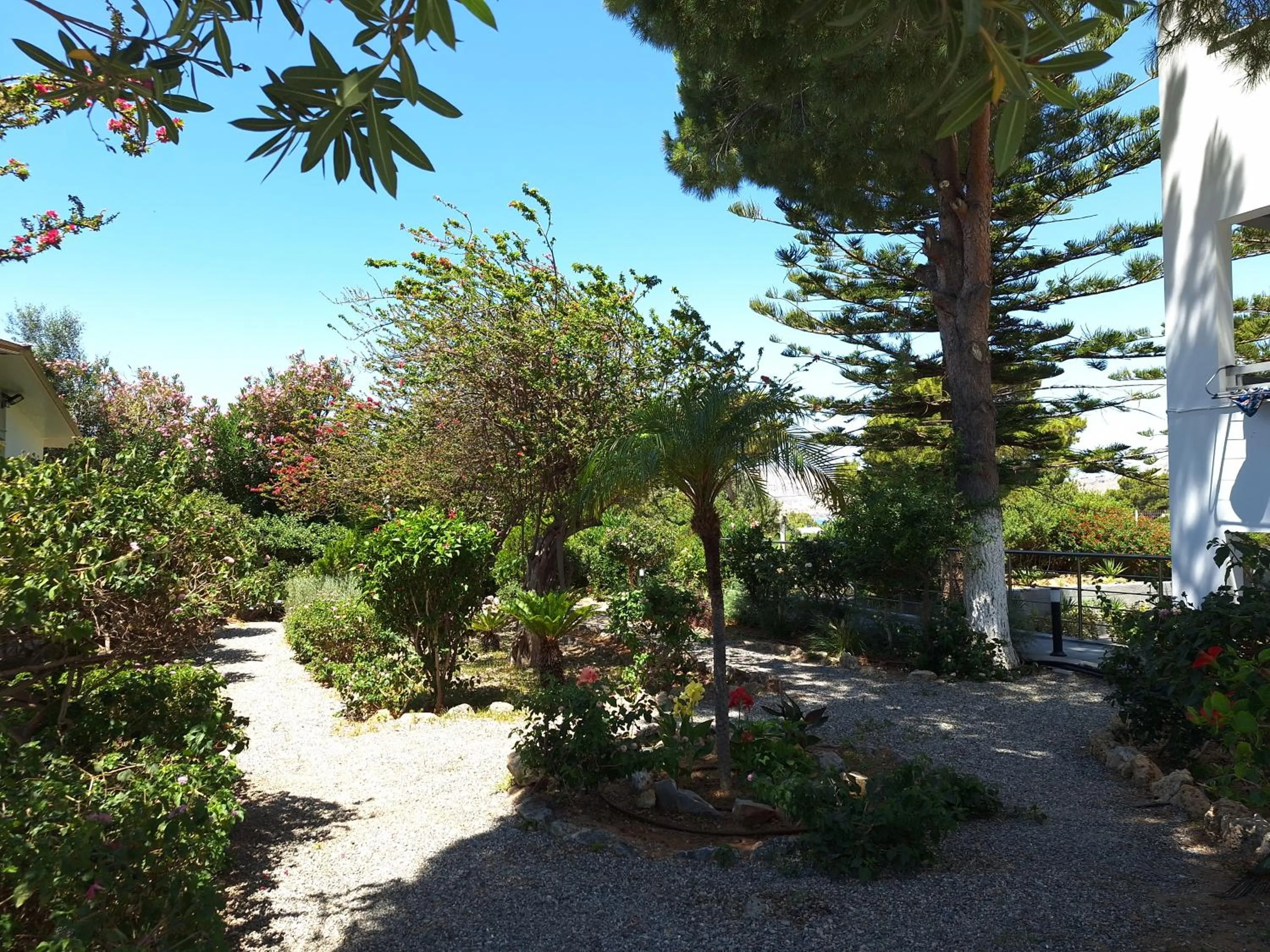 George Beach Studios