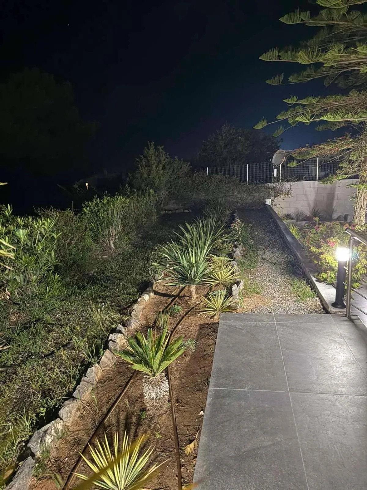 George Beach Studios