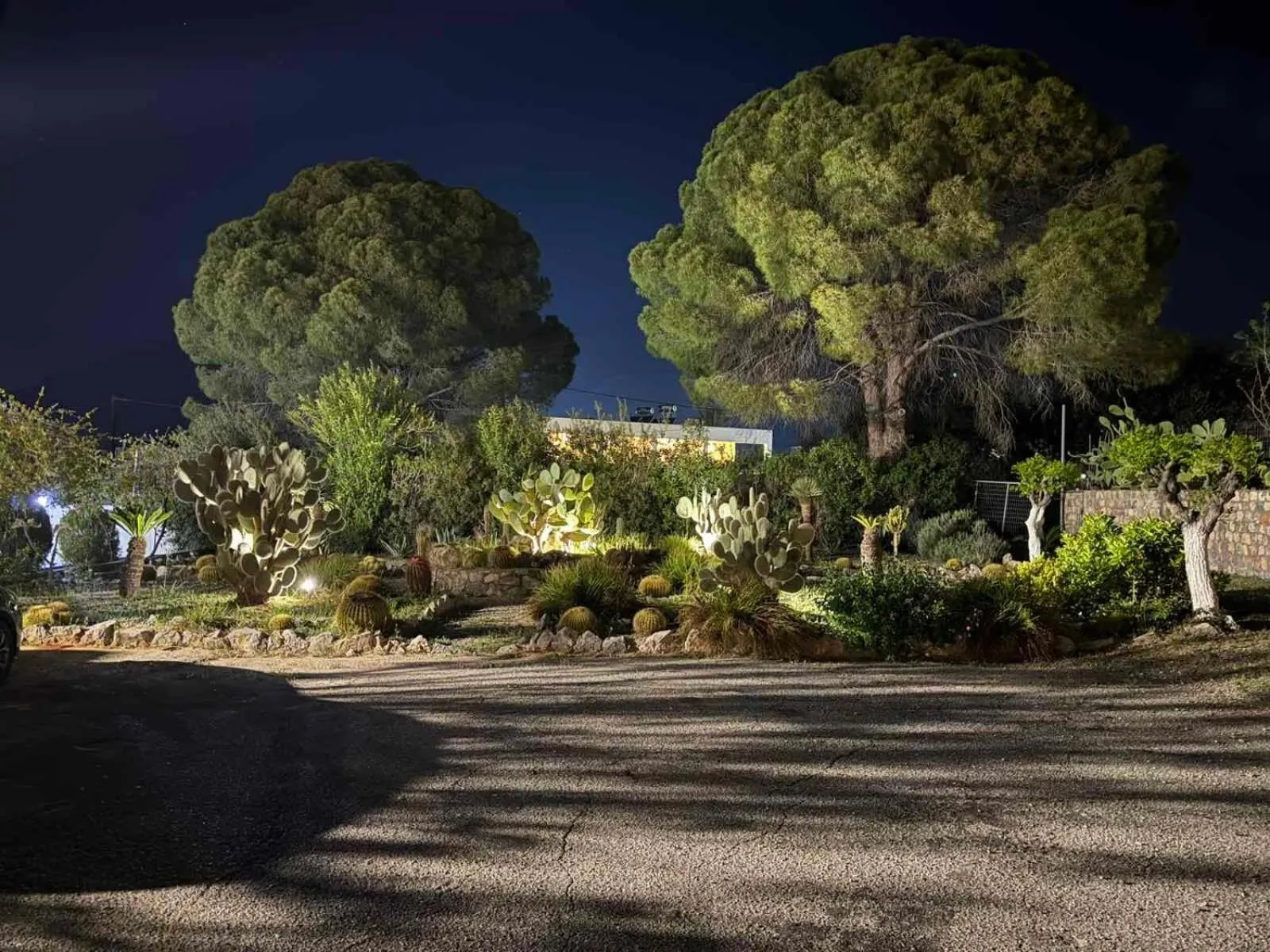 George Beach Studios