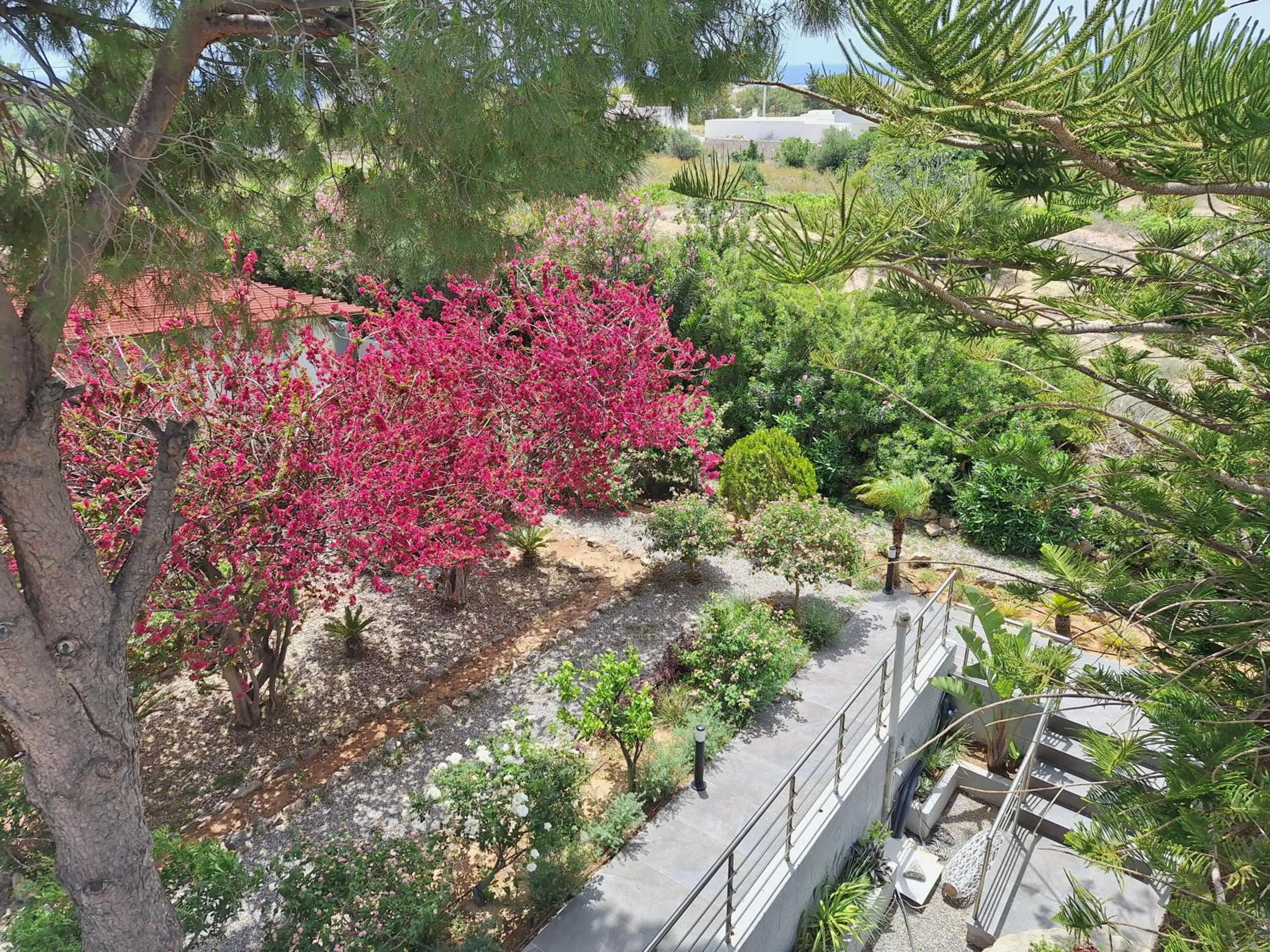 George Beach Studios